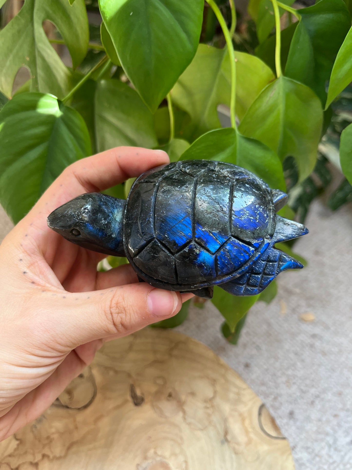 Labradorit Schildkröte XL