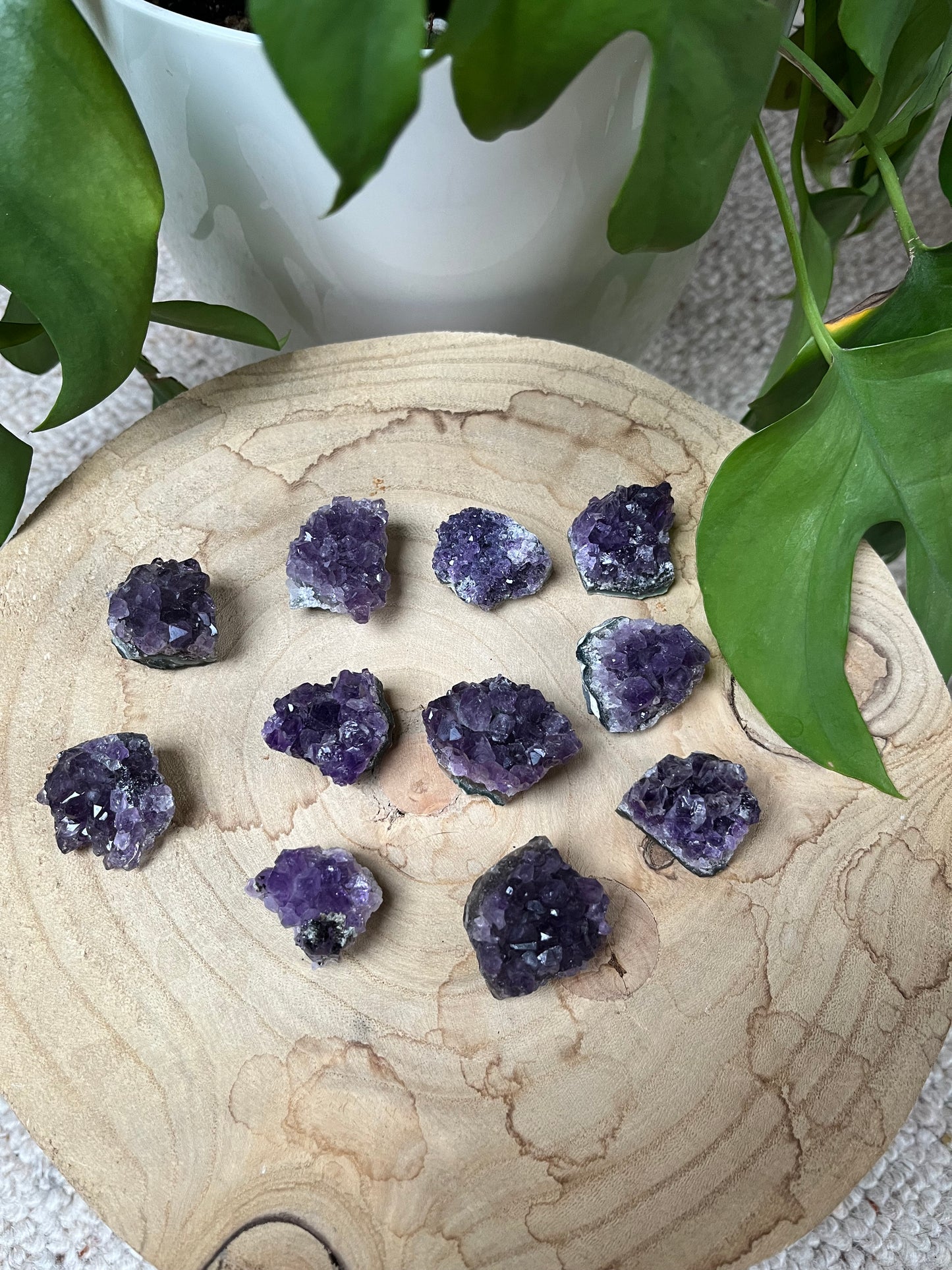 Amethyst Rohstücke XS