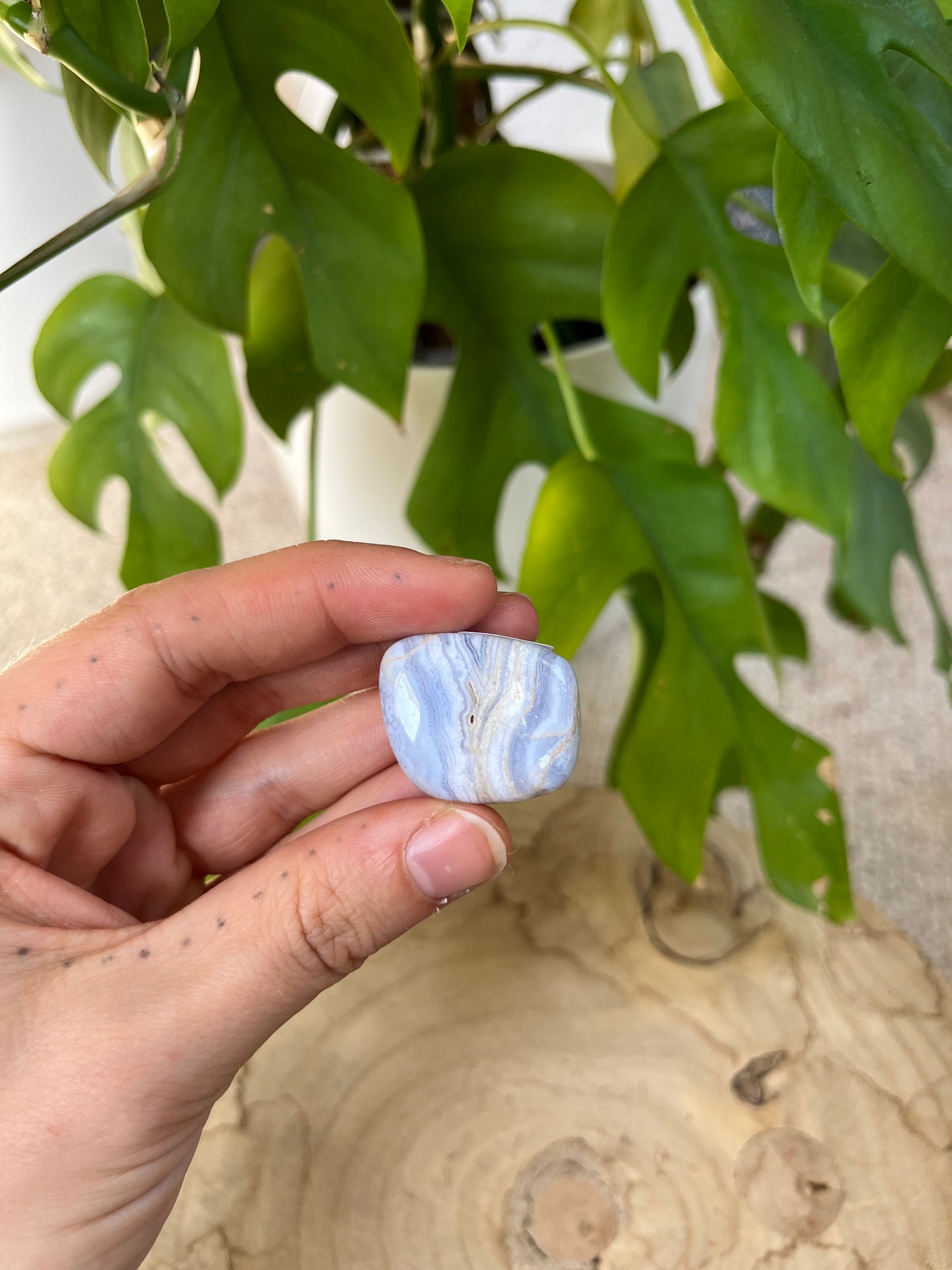Calecedon blau Trommelsteine