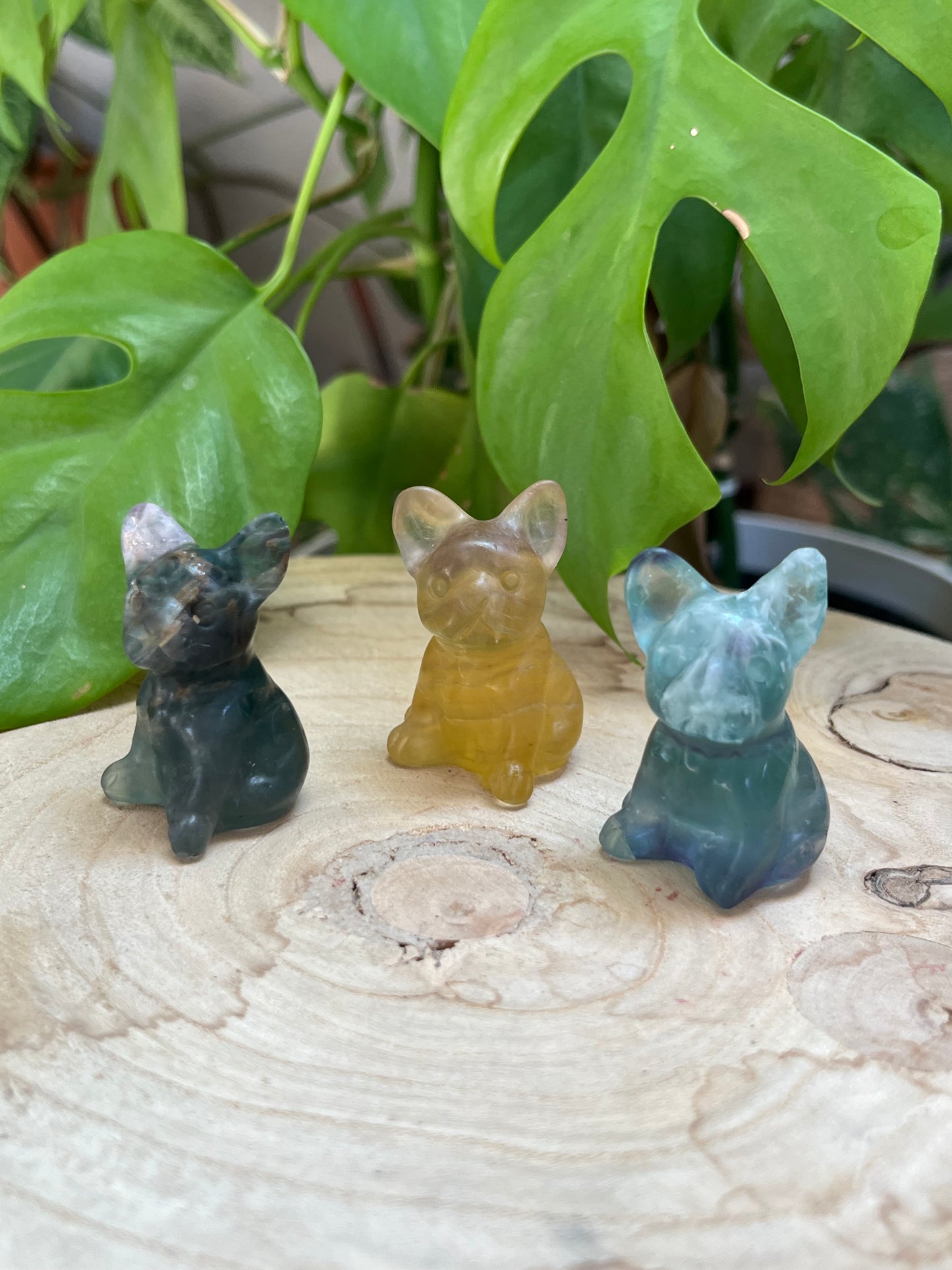 Fluorit Bully Gravur – Schutz, Klarheit & Treue