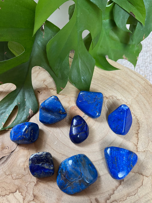 Lapislazuli Trommelstein