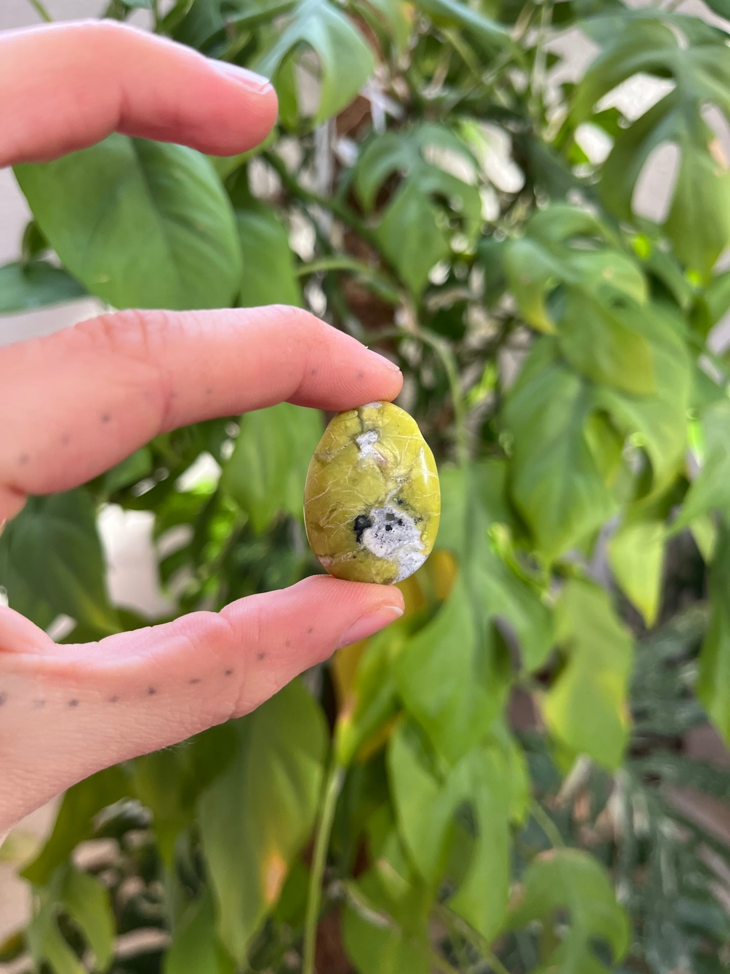 Lizardit Trommelstein gebohrt – Ruhe & Erdung