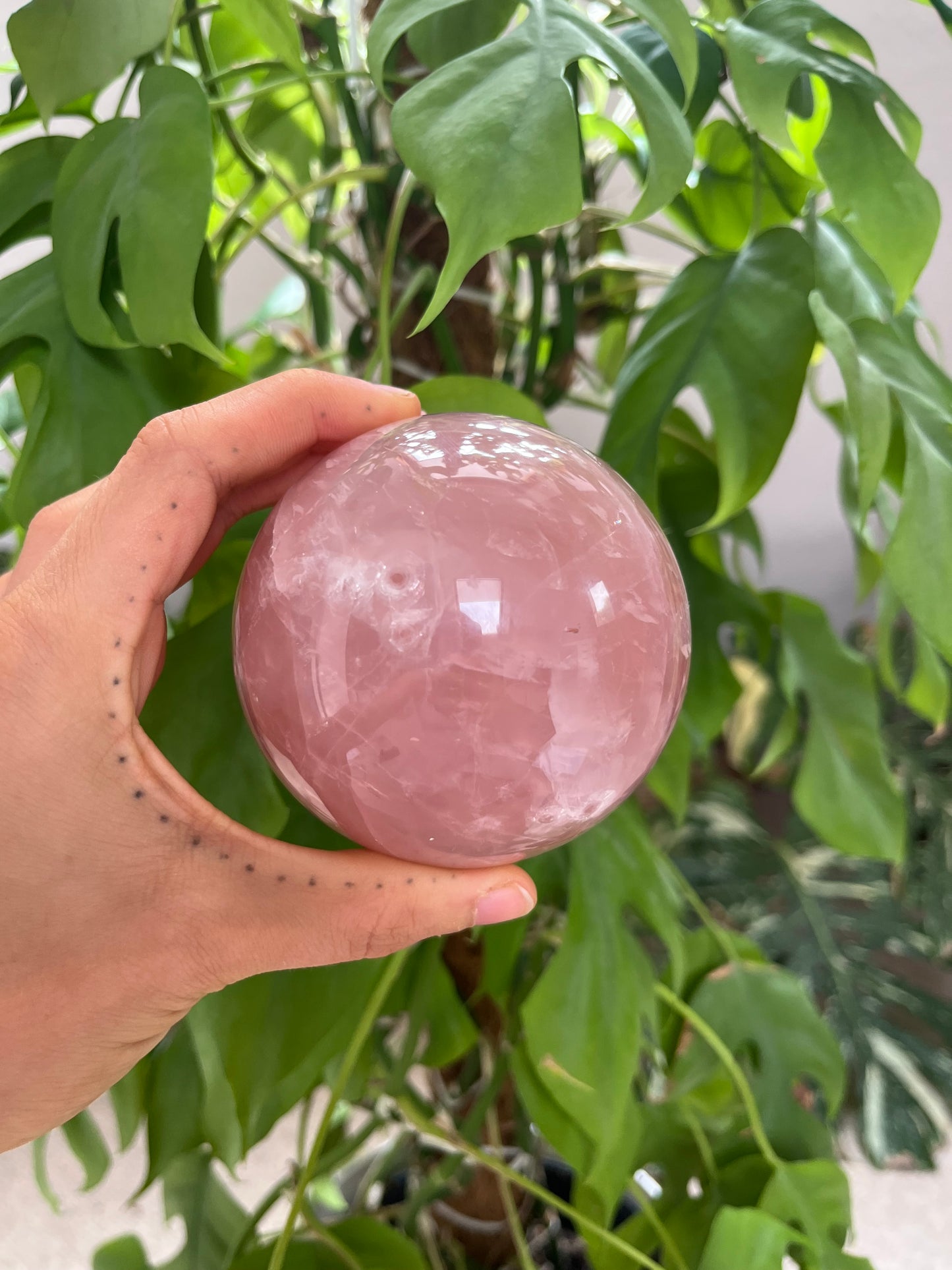 Rosenquarz Kugel 8,1 cm – Edelstein für Liebe & Harmonie