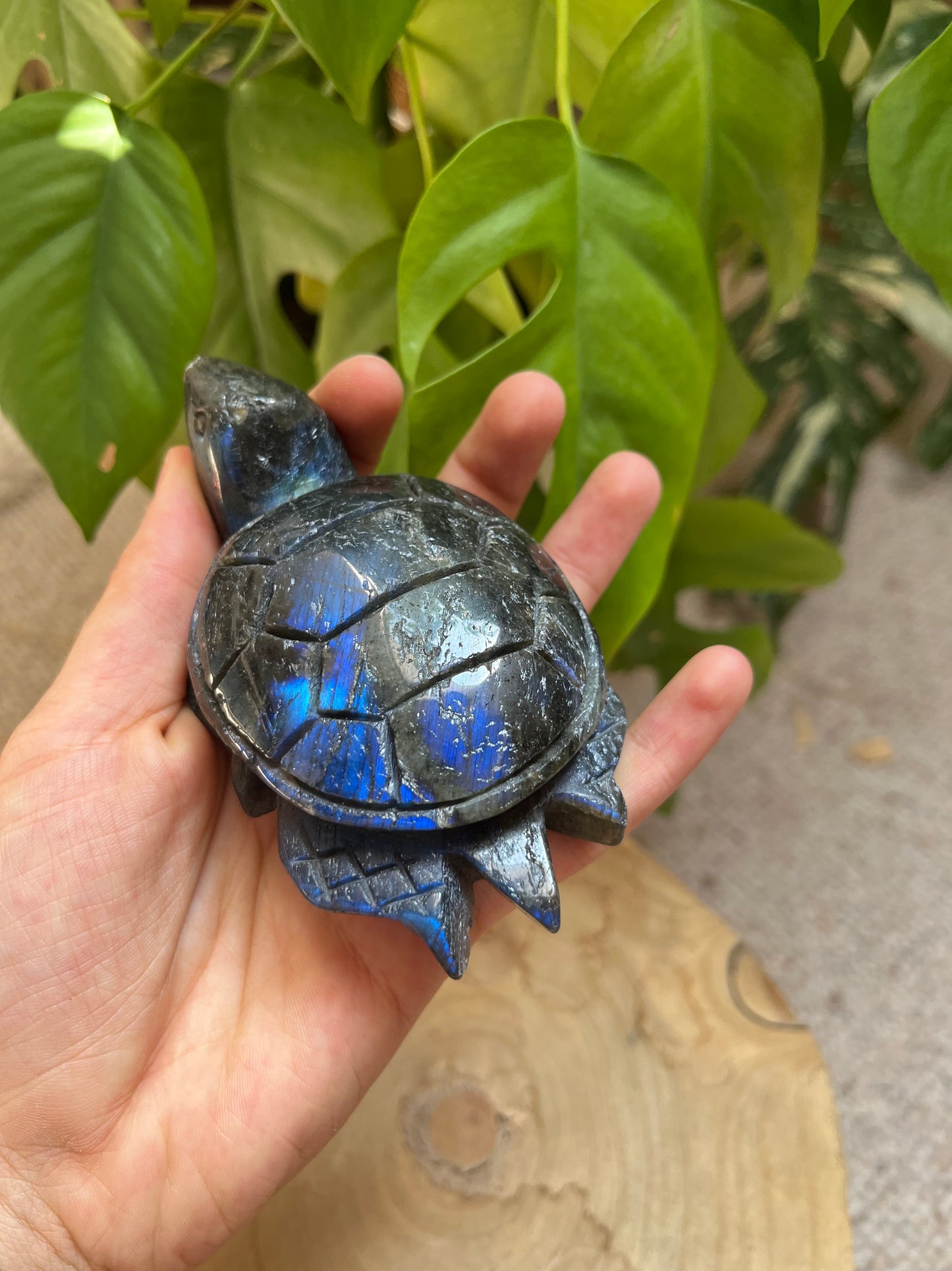 Labradorit Schildkröte XL