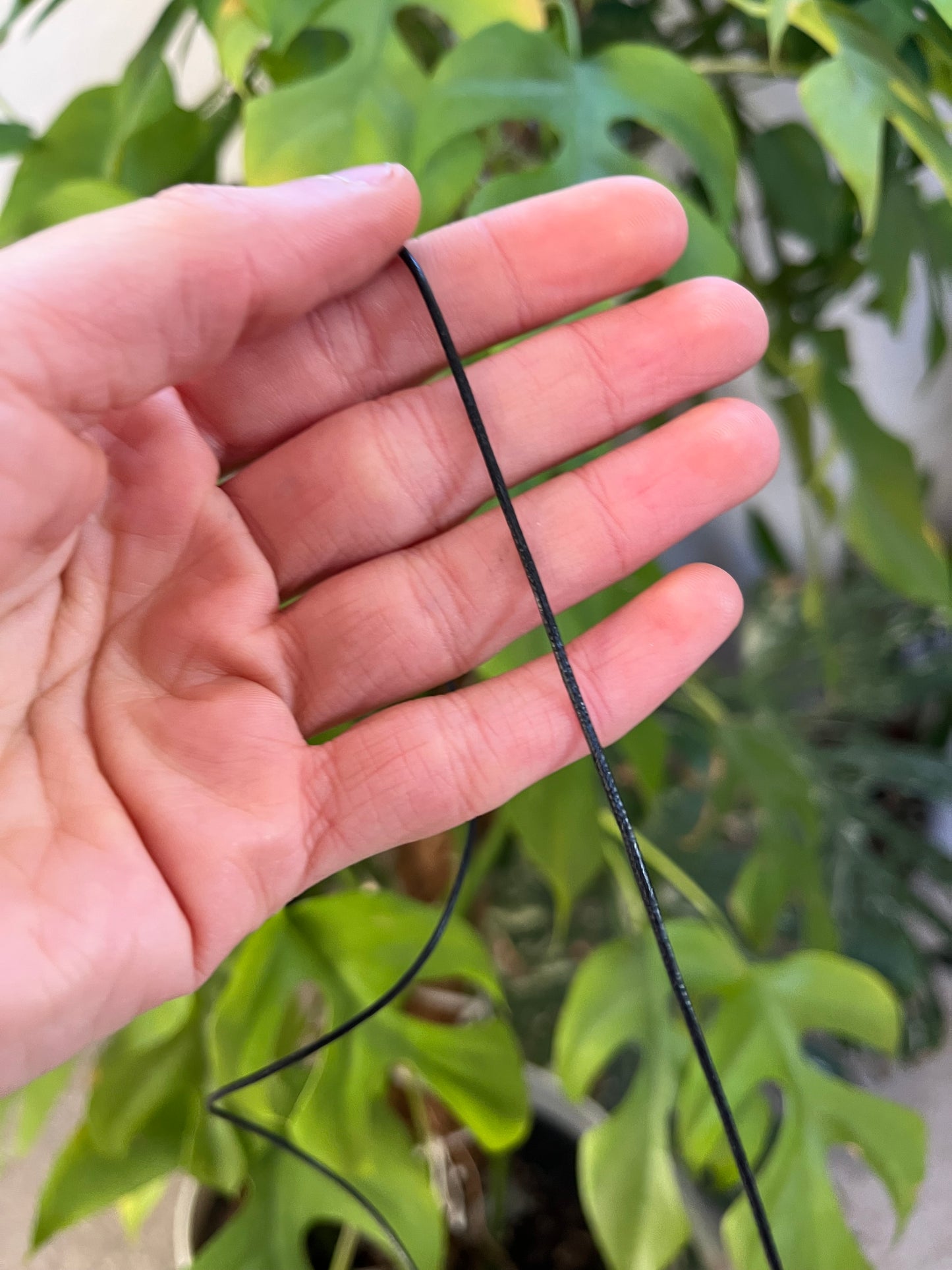 Baumwollband schwarz ca. 80 cm – schlicht & vielseitig