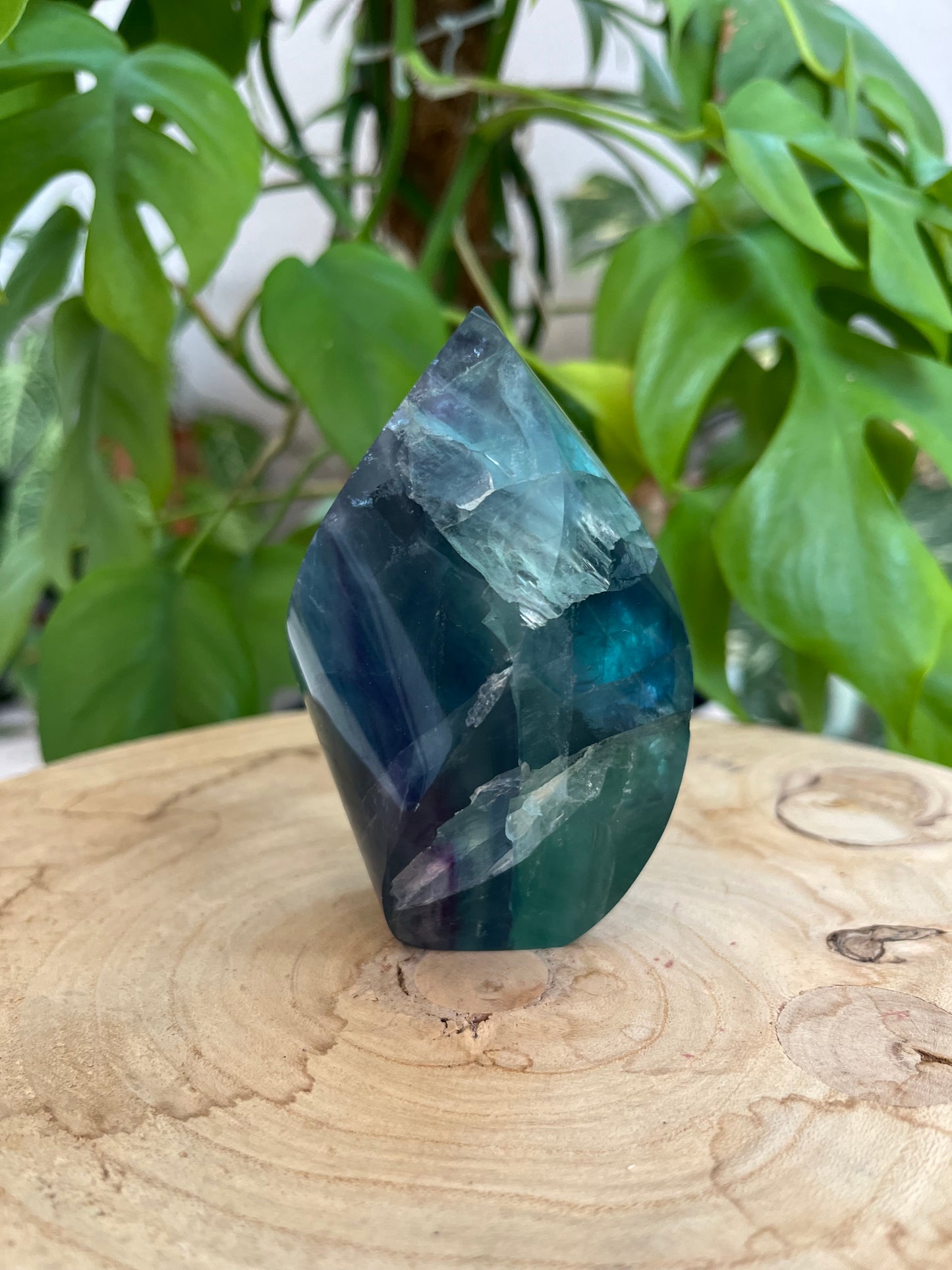 Fluorit Freiform Spiral – Edelstein für Klarheit & Energiefluss