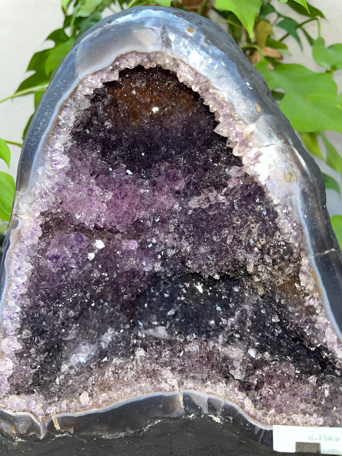 Amethyst Geode (Kathedrale) 6,15 kg – majestätisches Unikat & Statement Piece