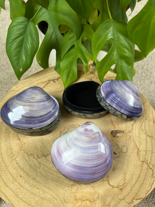 Muschel Dose violett