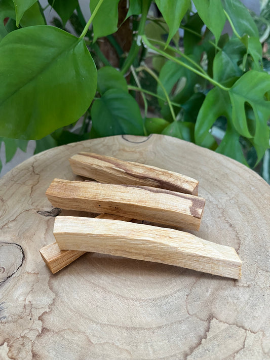 Palo Santo Holz kaufen – einzeln oder im 4er-Set im Organzasäckchen | Räucherholz für Reinigung & Rituale