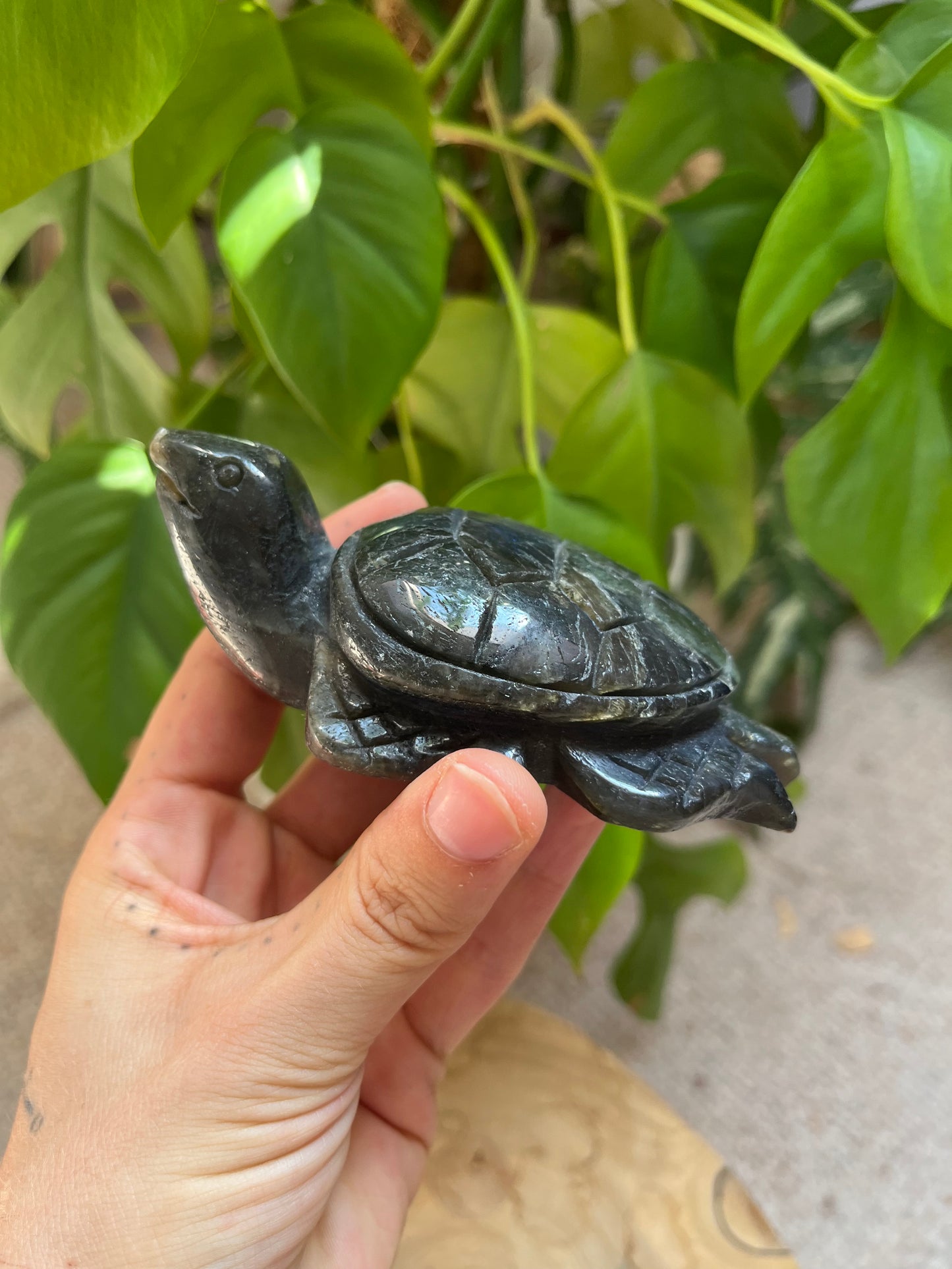Labradorit Schildkröte XL