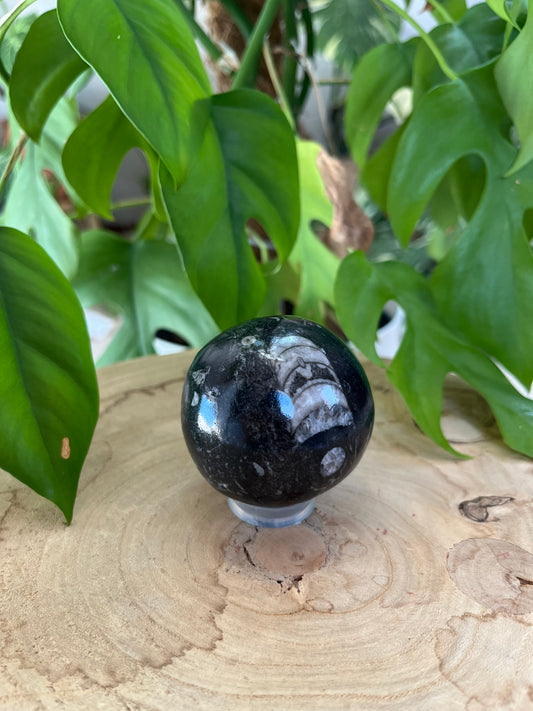 Orthoceras Kugel 5 cm – Fossil-Edelstein für Urkraft & Erdung