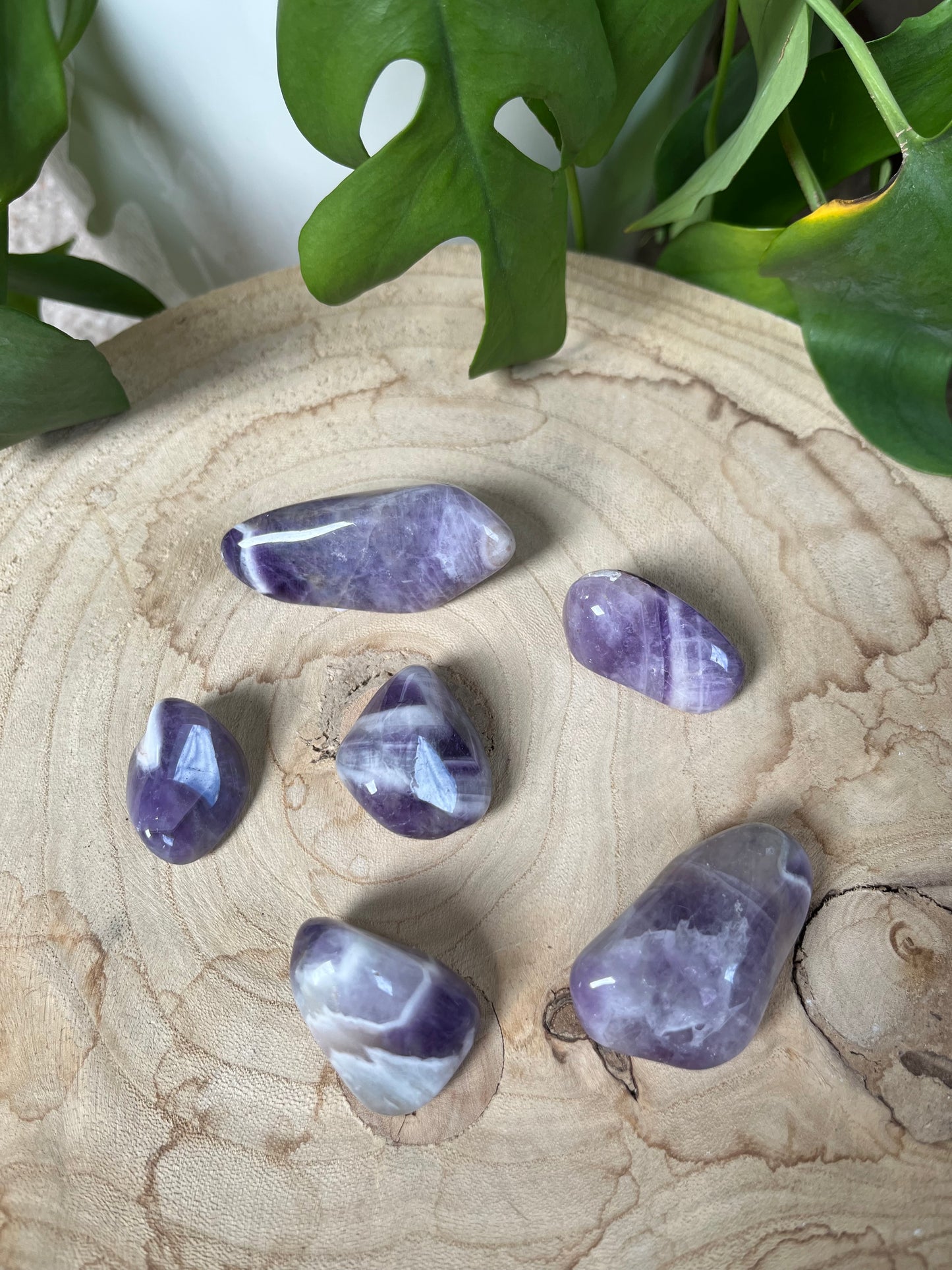 Amethyst Trommelsteine