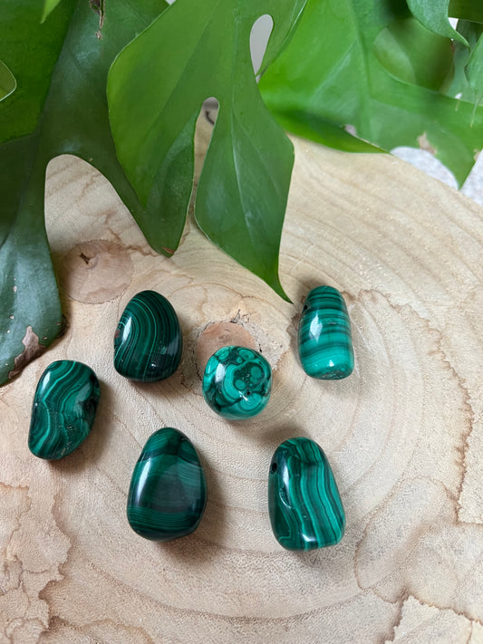 Malachit Trommelstein gebohrt