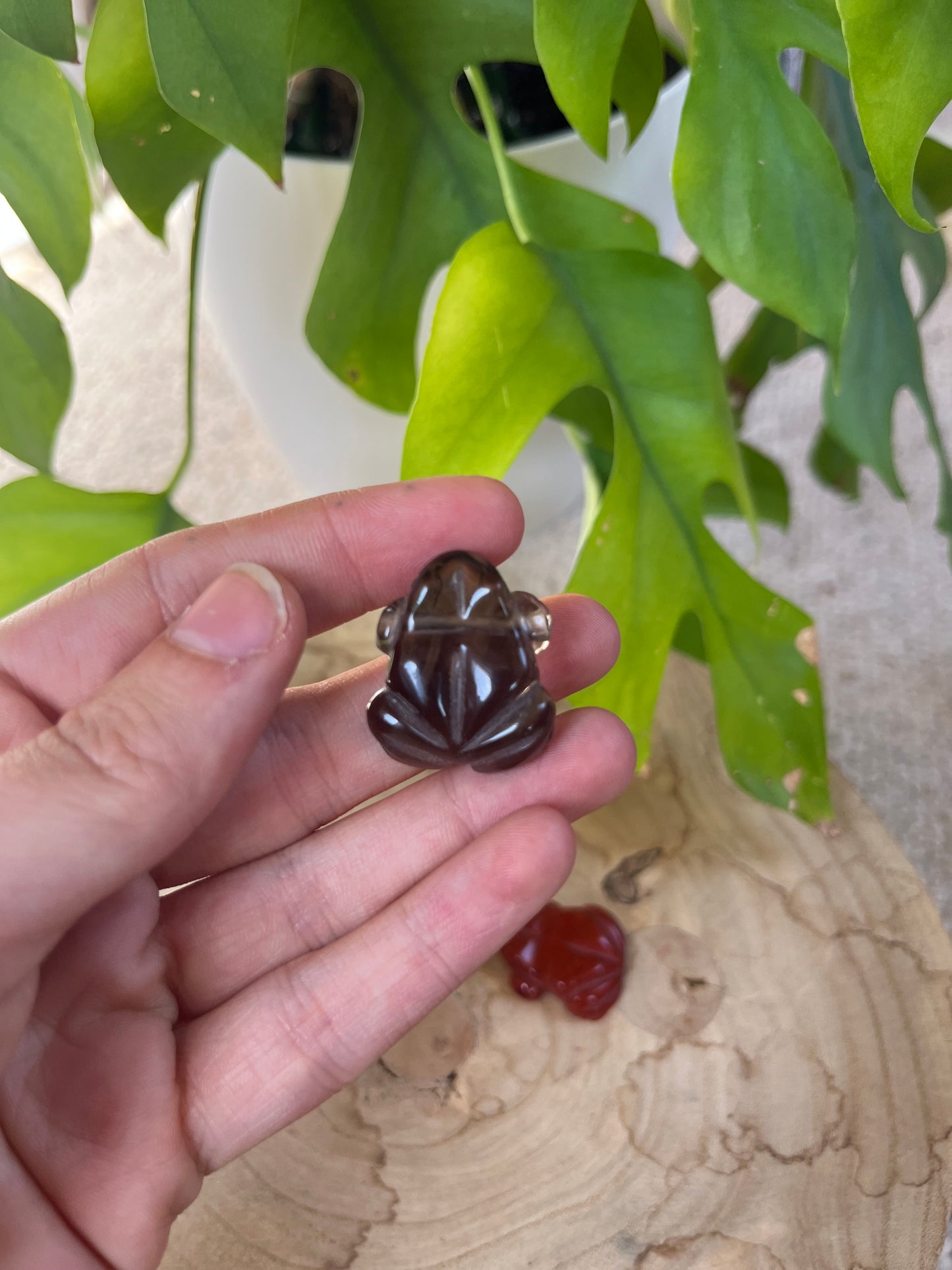 Frosch Gravuren gebohrt