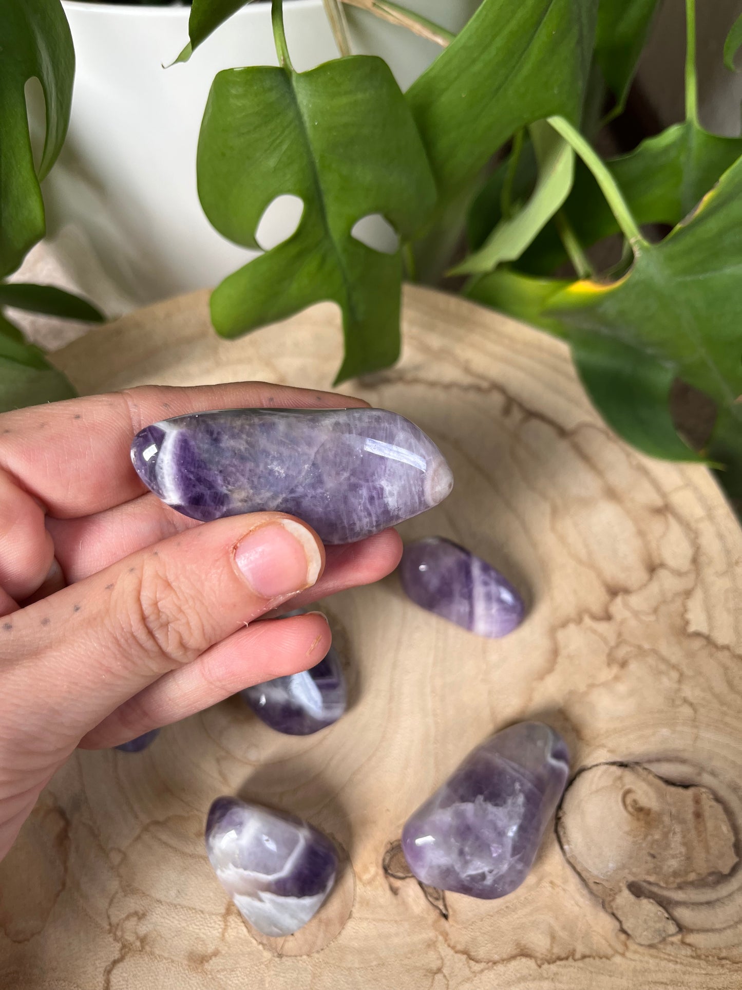 Amethyst Trommelsteine