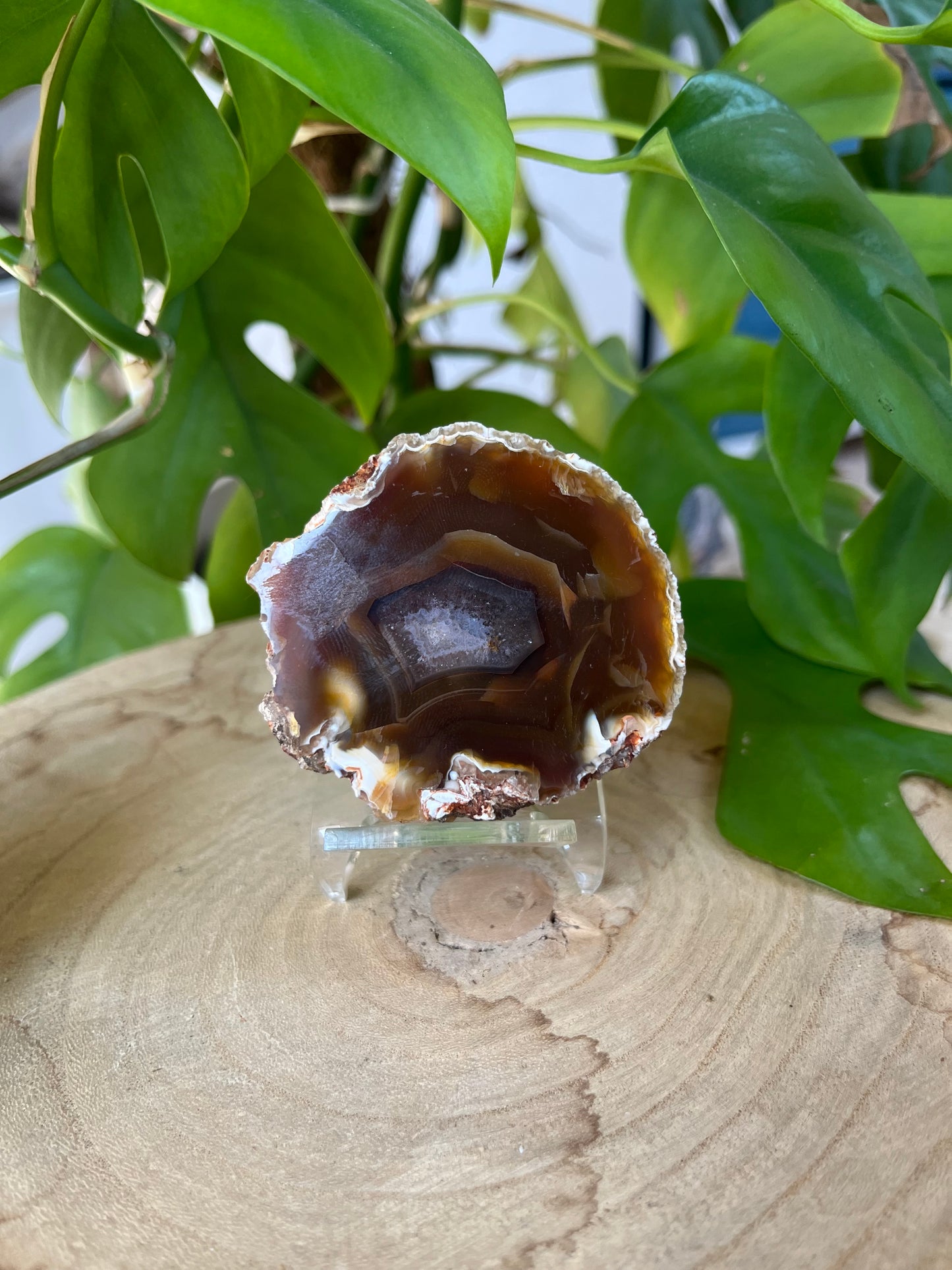 Achat Fenster Geode