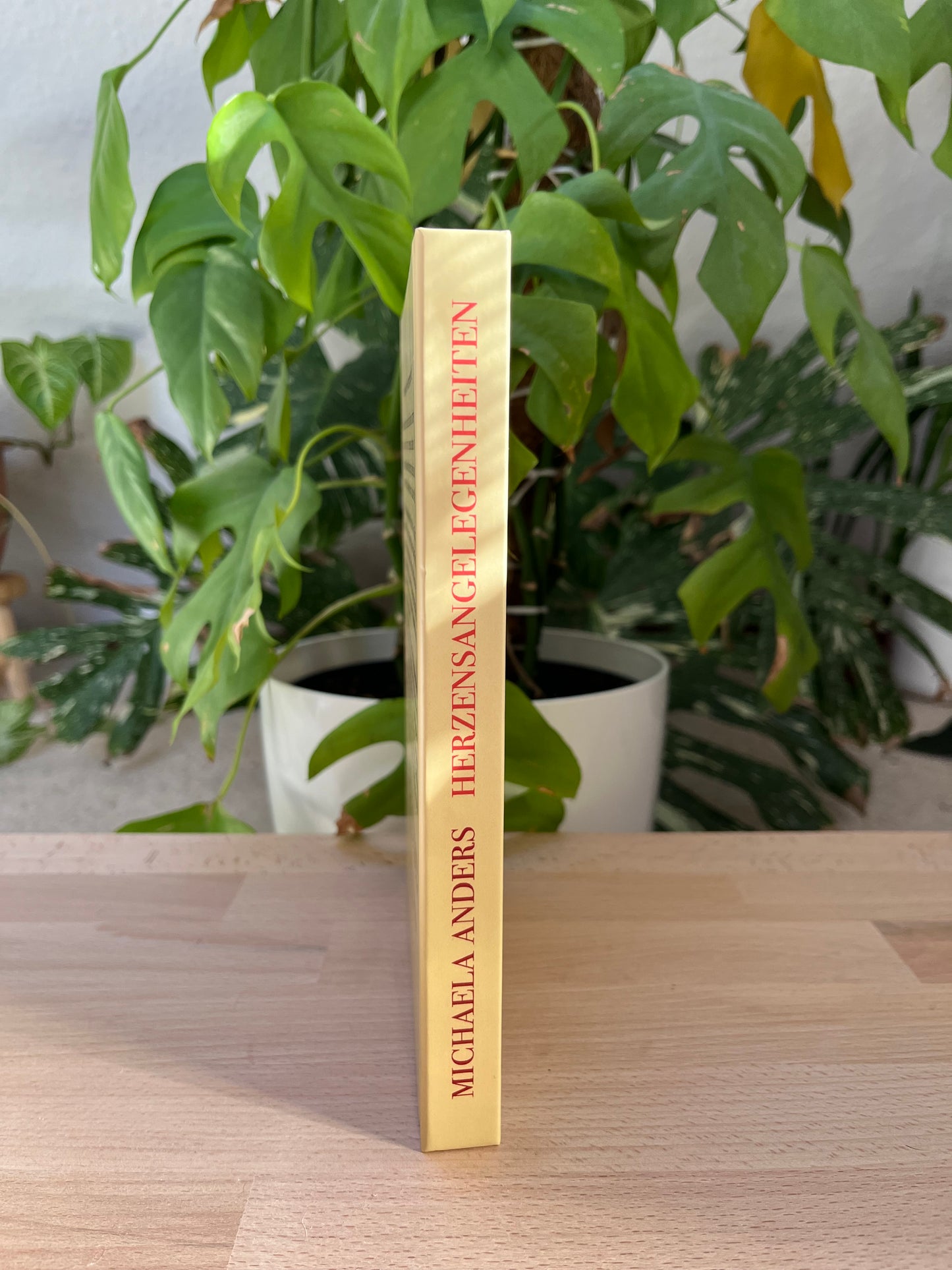 Herzens Angelegenheiten – Buch von Michaela Anders über Herz, Liebe & Bewusstsein