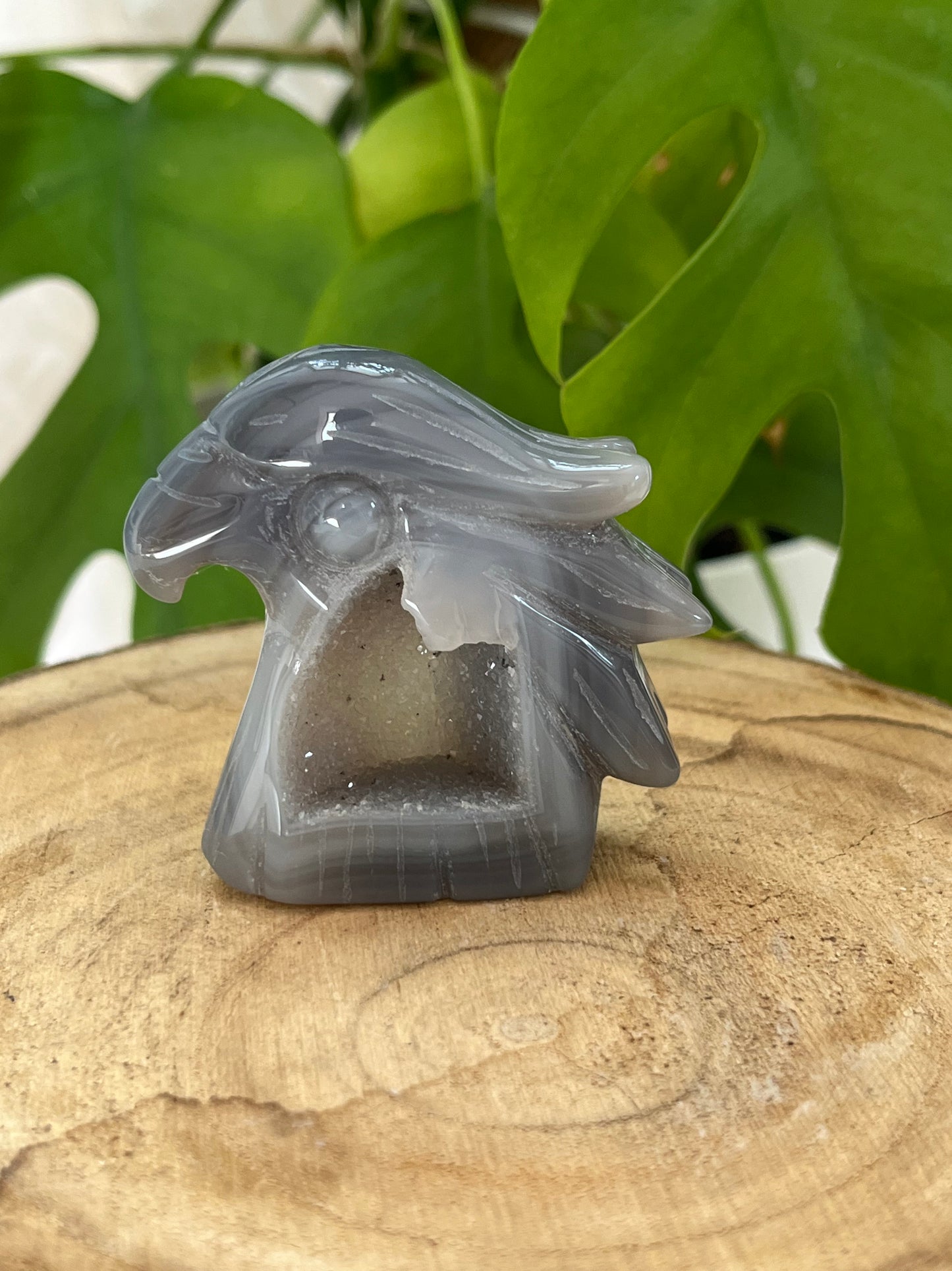 Druzy Achat Adler