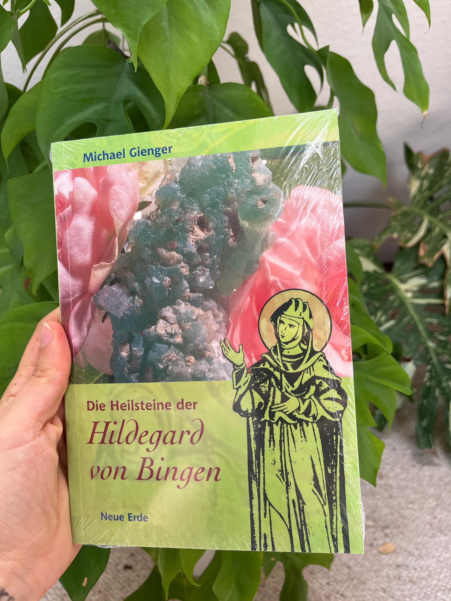 Die Heilsteine der Hildegard von Bingen – Michael Gienger | Paperback (144 Seiten)