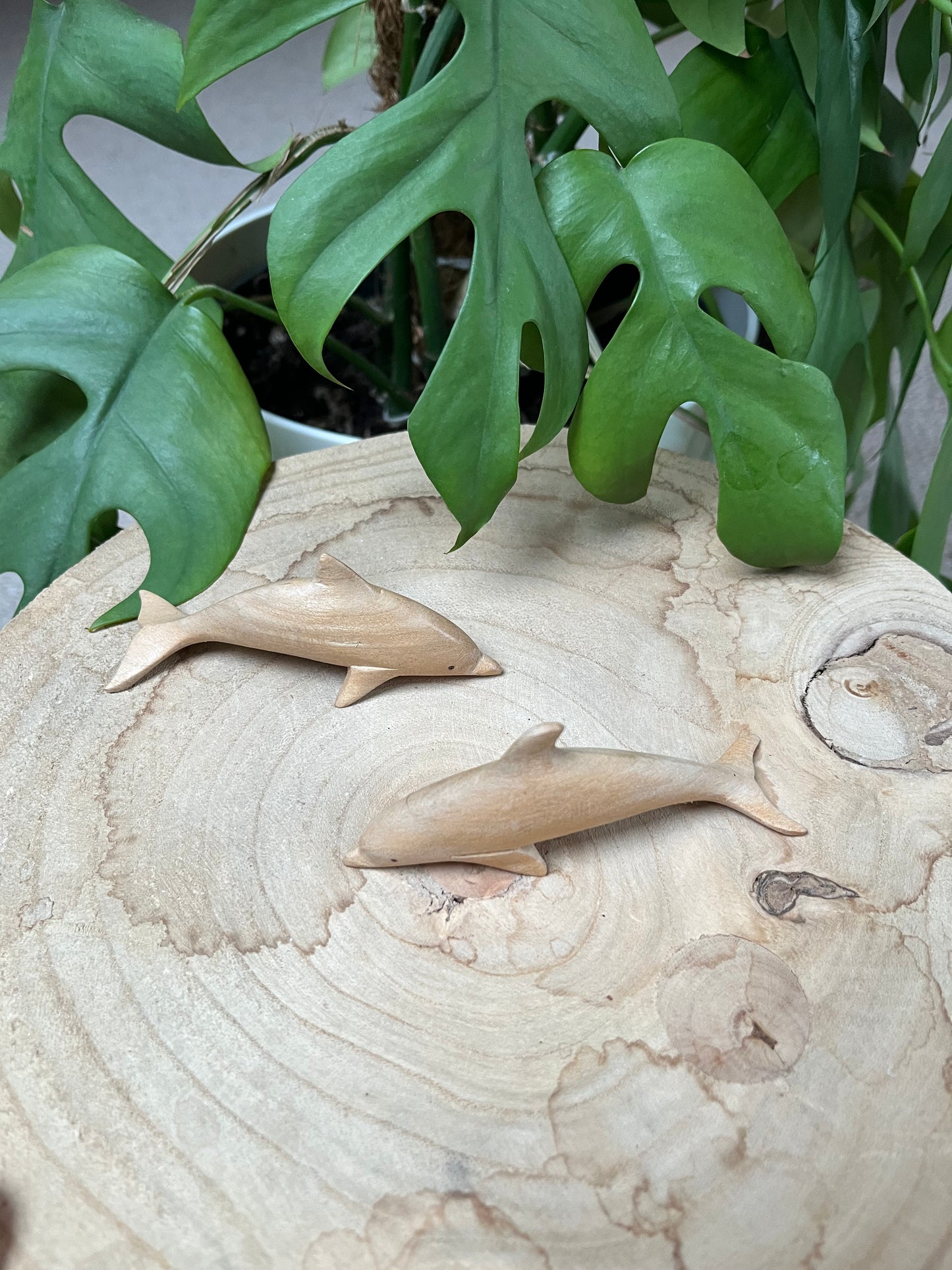 Holz Delphine