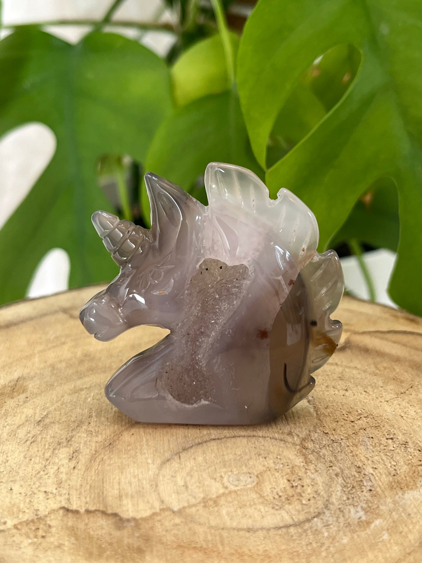Druzy Achat Einhorn