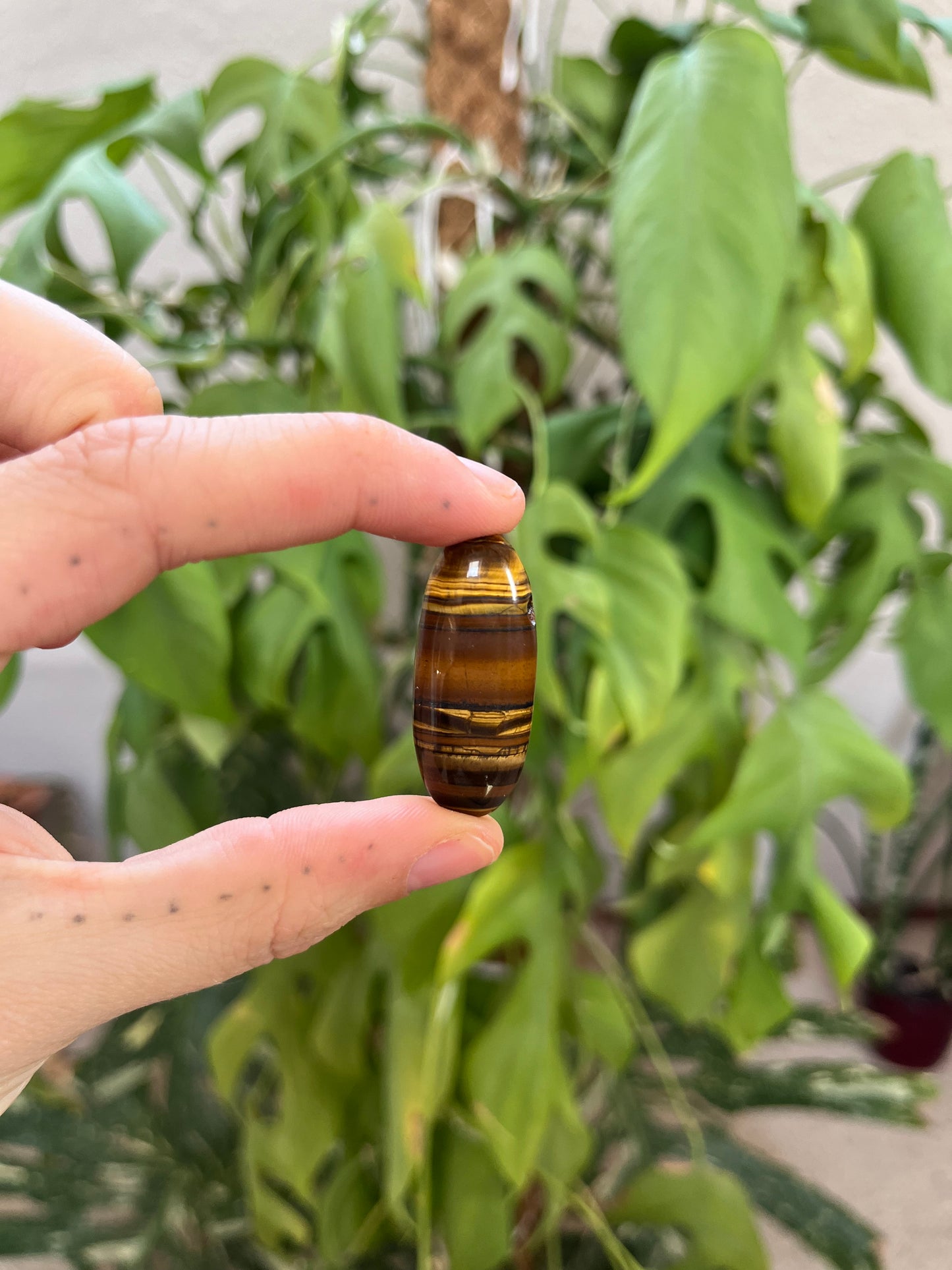 Tigerauge gebohrt Olivenform – Edelstein Anhänger Schutz & Stärke Naturstein