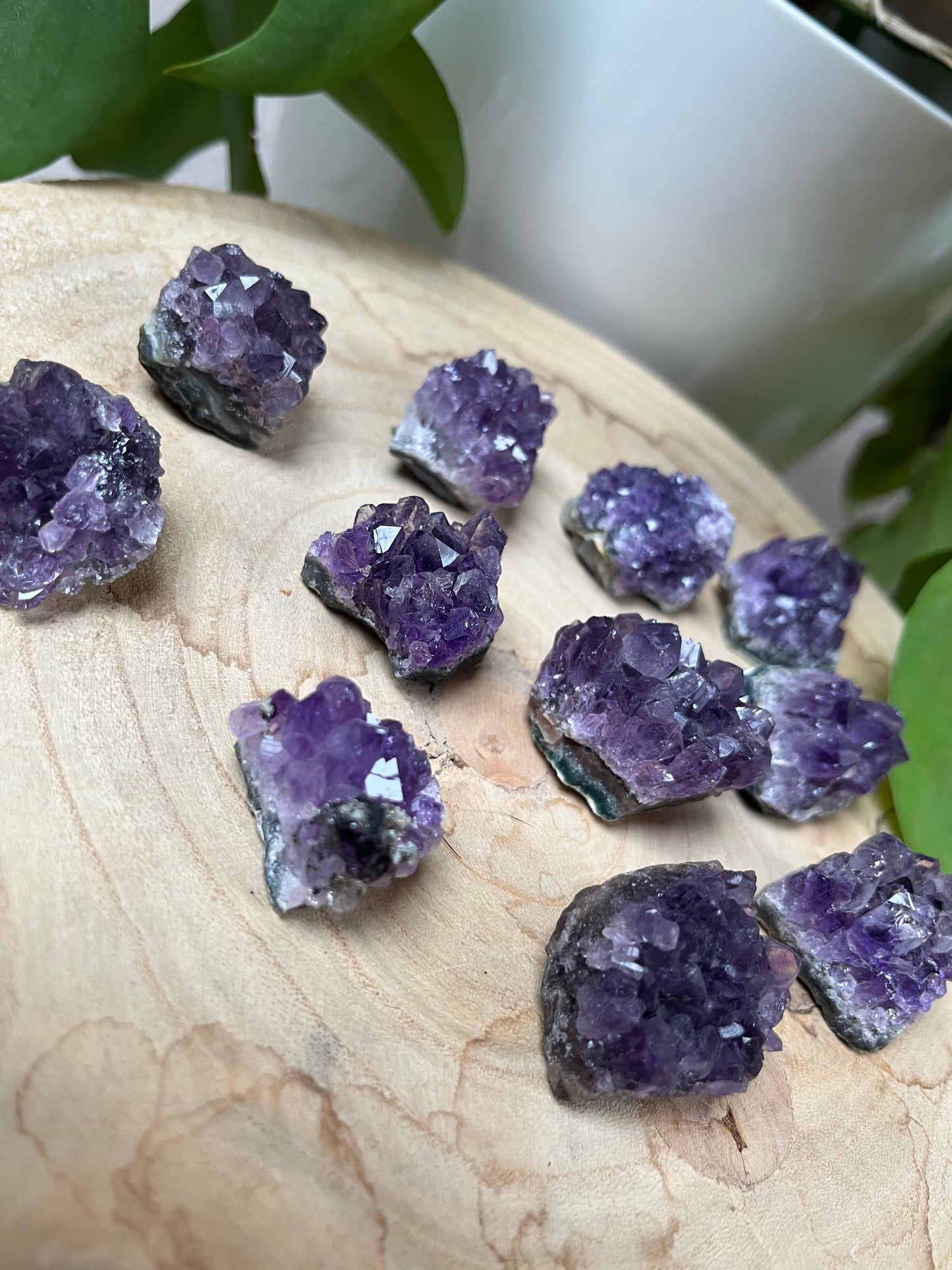 Amethyst Rohstücke XS