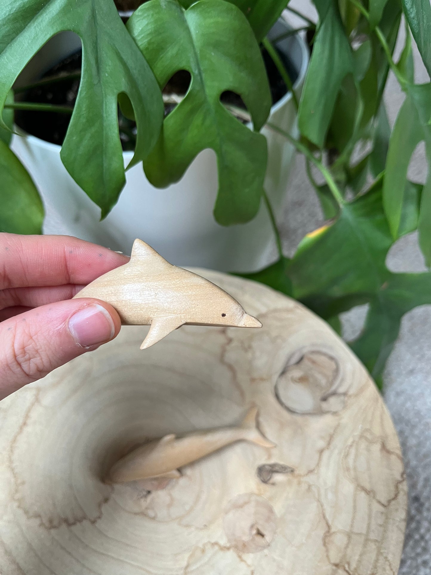 Holz Delphine