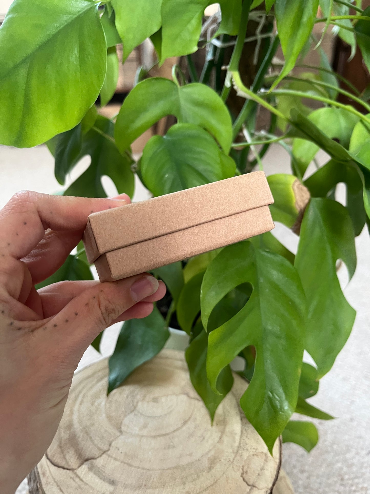 Ohrring/Kette Geschenk Box