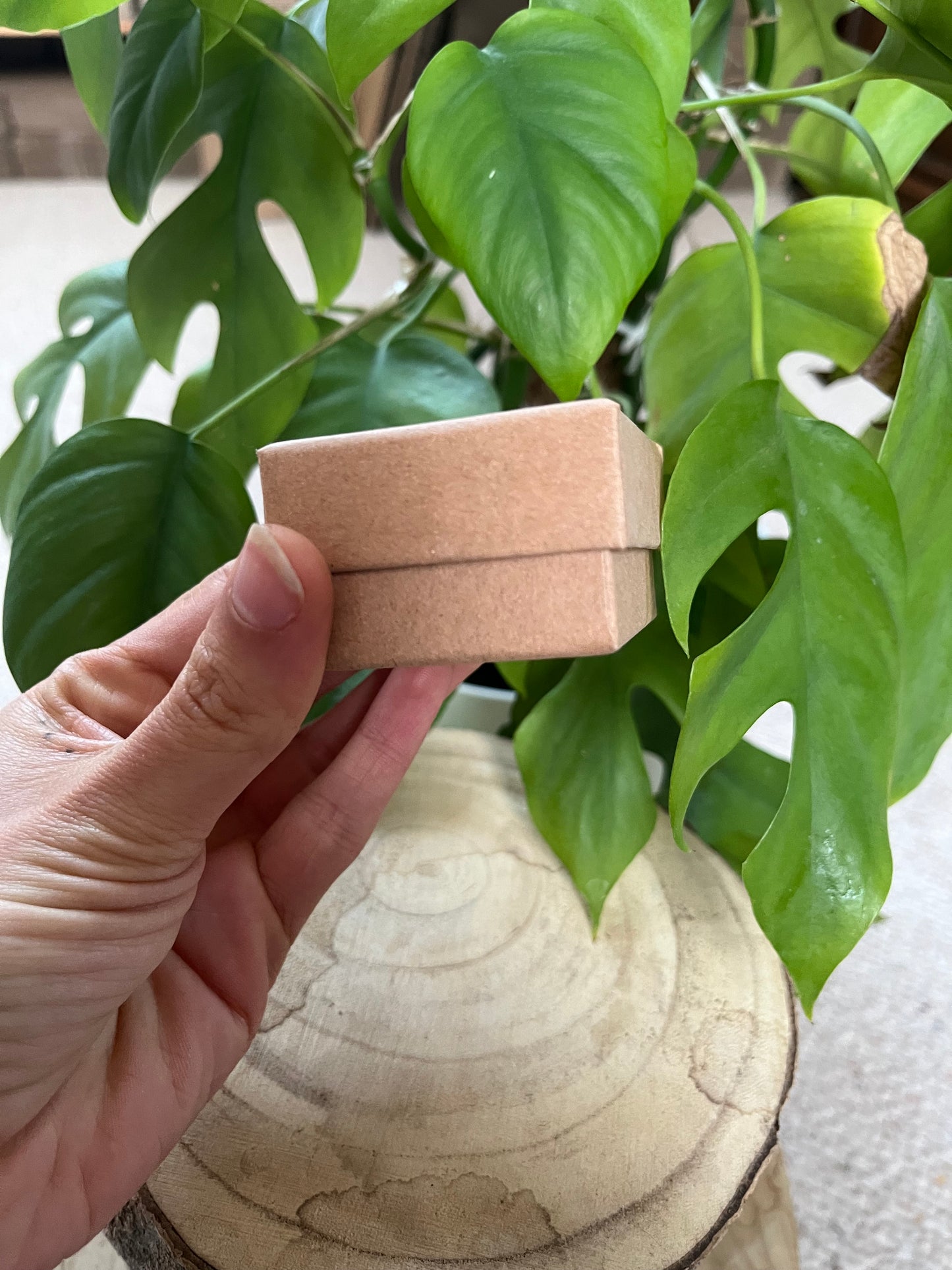 Ring/Ohrstecker Geschenk Box