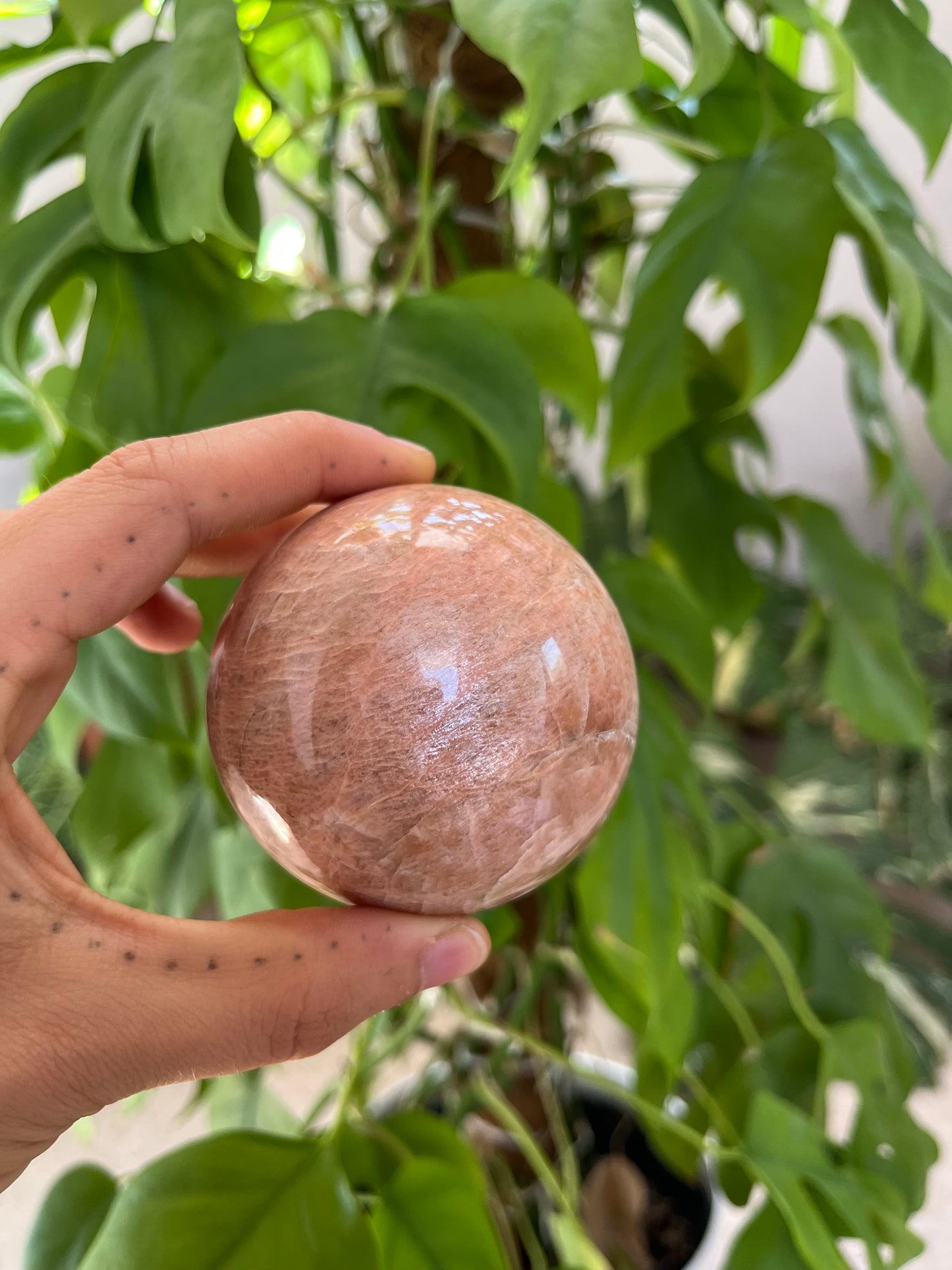 Pirsich Mondstein Kugel 6,5 cm – Edelstein für Intuition & innere Balance