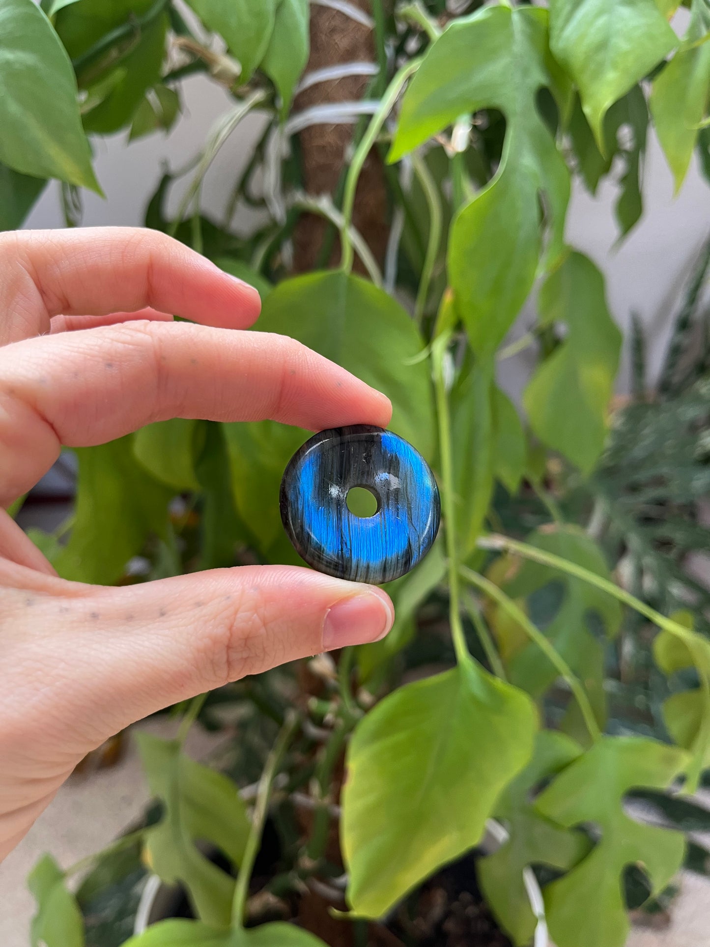 Labradorit Donut 3 cm AA Qualität – Schimmernder Edelstein Anhänger mit Farbspiel