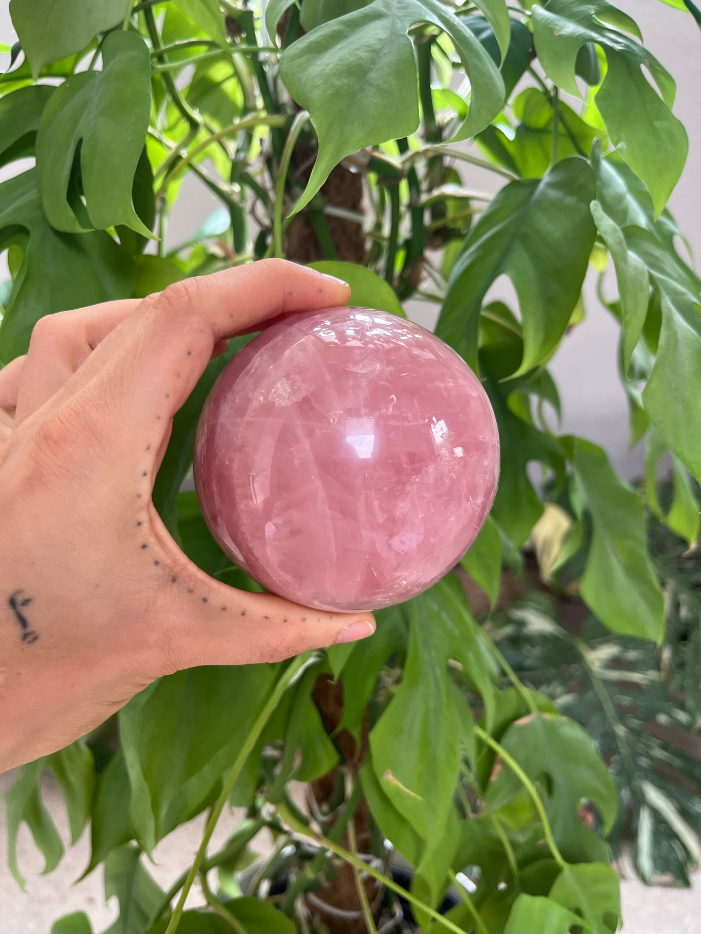 Rosenquarz Kugel 8,1 cm – Edelstein für Liebe & Harmonie