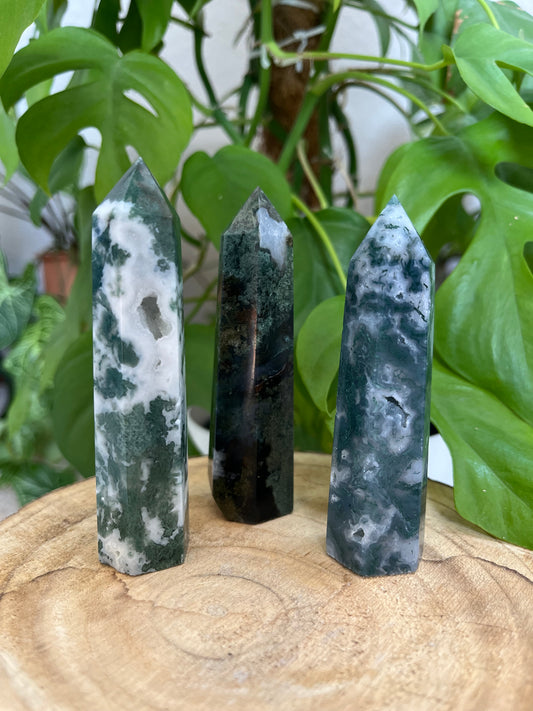 Moosachat Turm - AAA Qualität