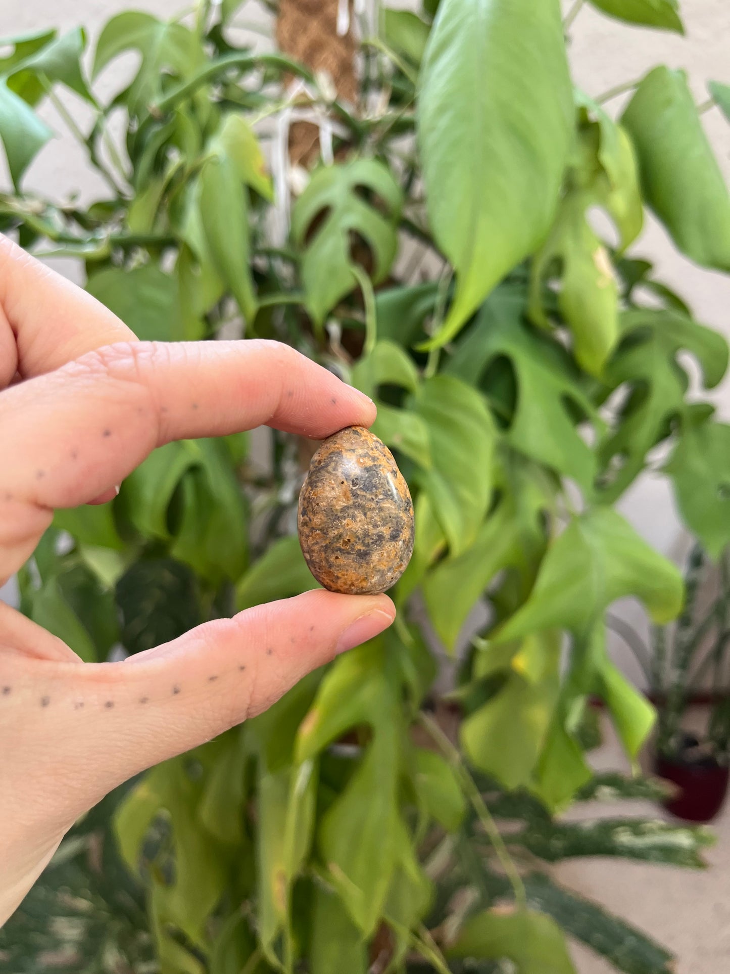 Leoparden Jaspis gelb Trommelstein gebohrt – Naturstein Anhänger Erdung & Kraft