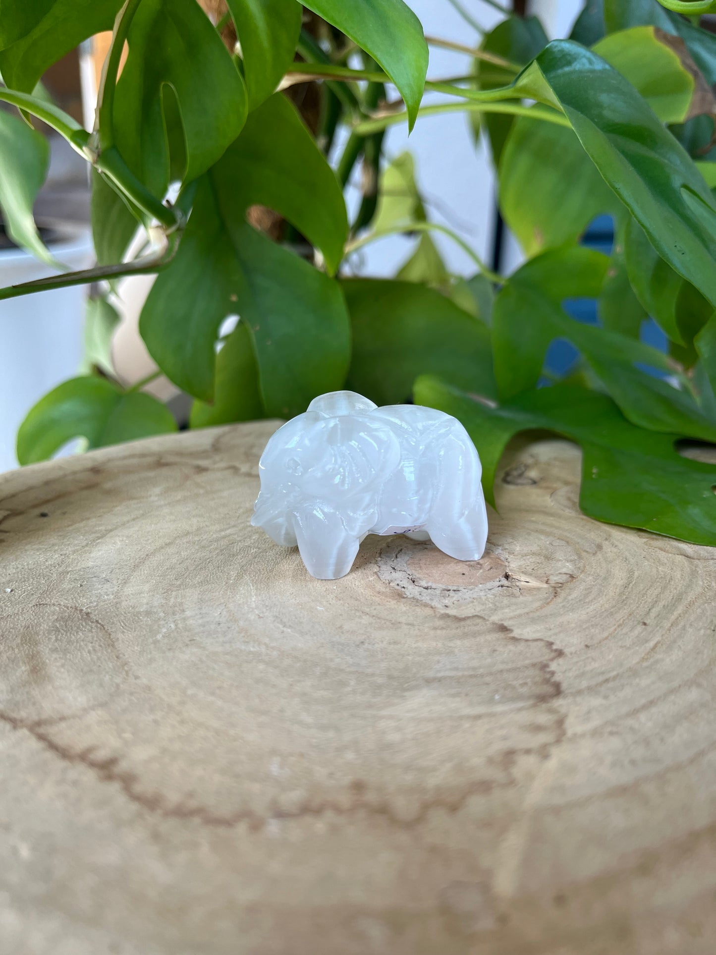 Selenit Elefant