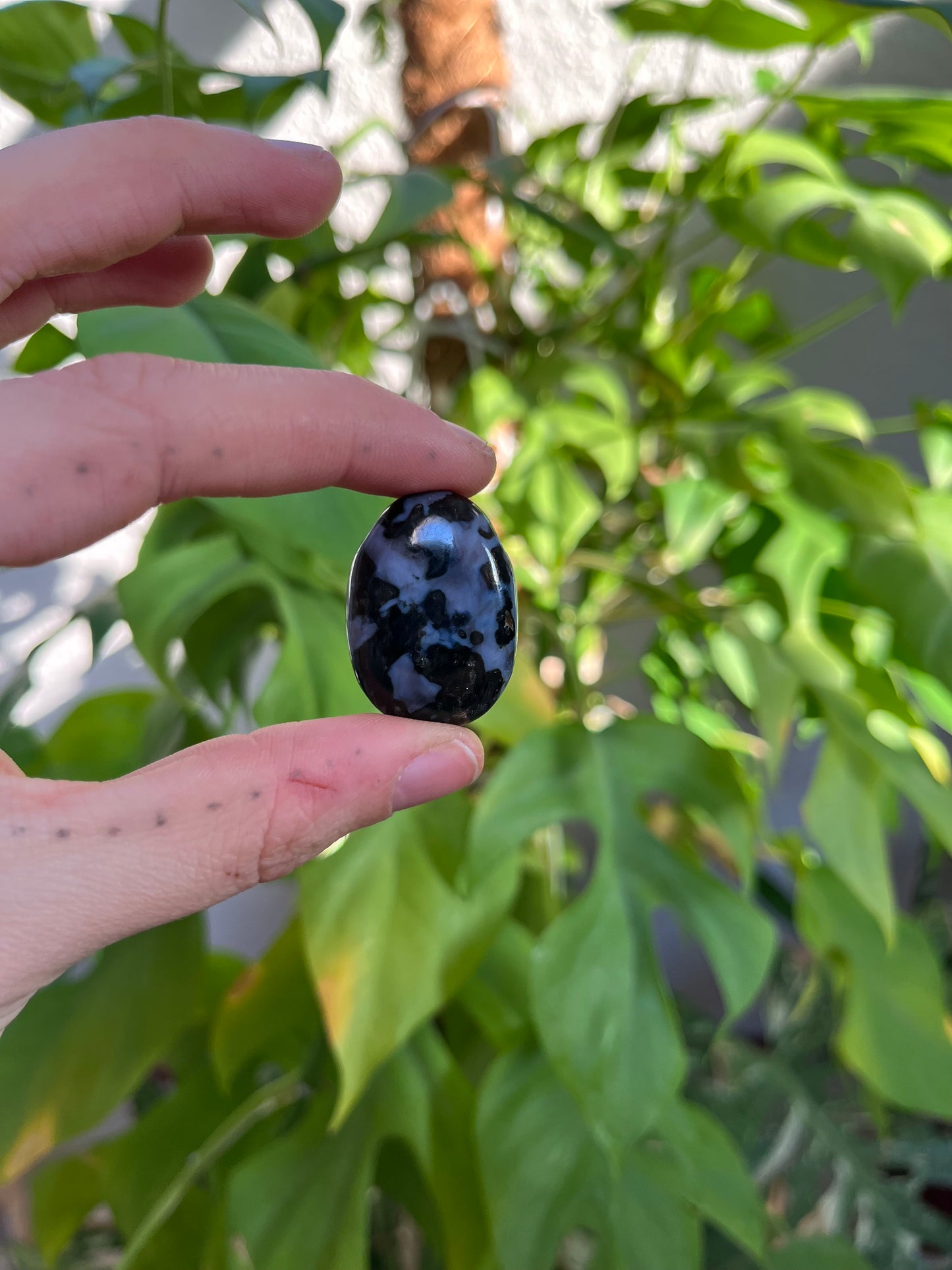 Gabbro Trommelstein gebohrt – Tiefe & Erdung