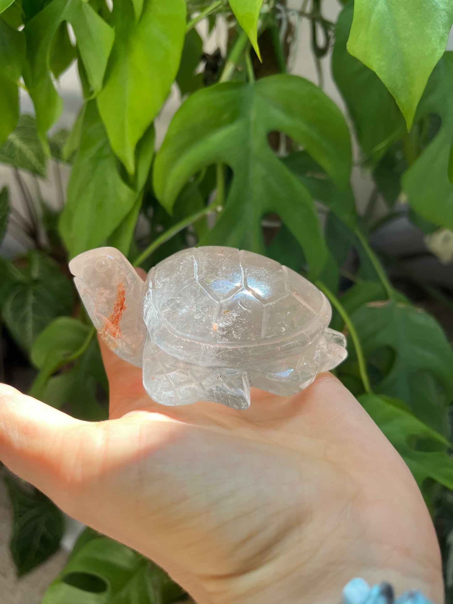 Bergkristall Schildkröte XL – Klarheit, Energie & Beständigkeit