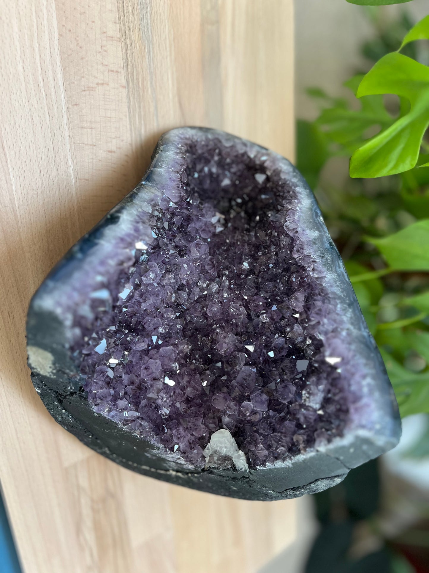 Amethyst Geode XL 5,4 kg – Dunkelviolette Kristallhöhle mit intensivem Funkeln