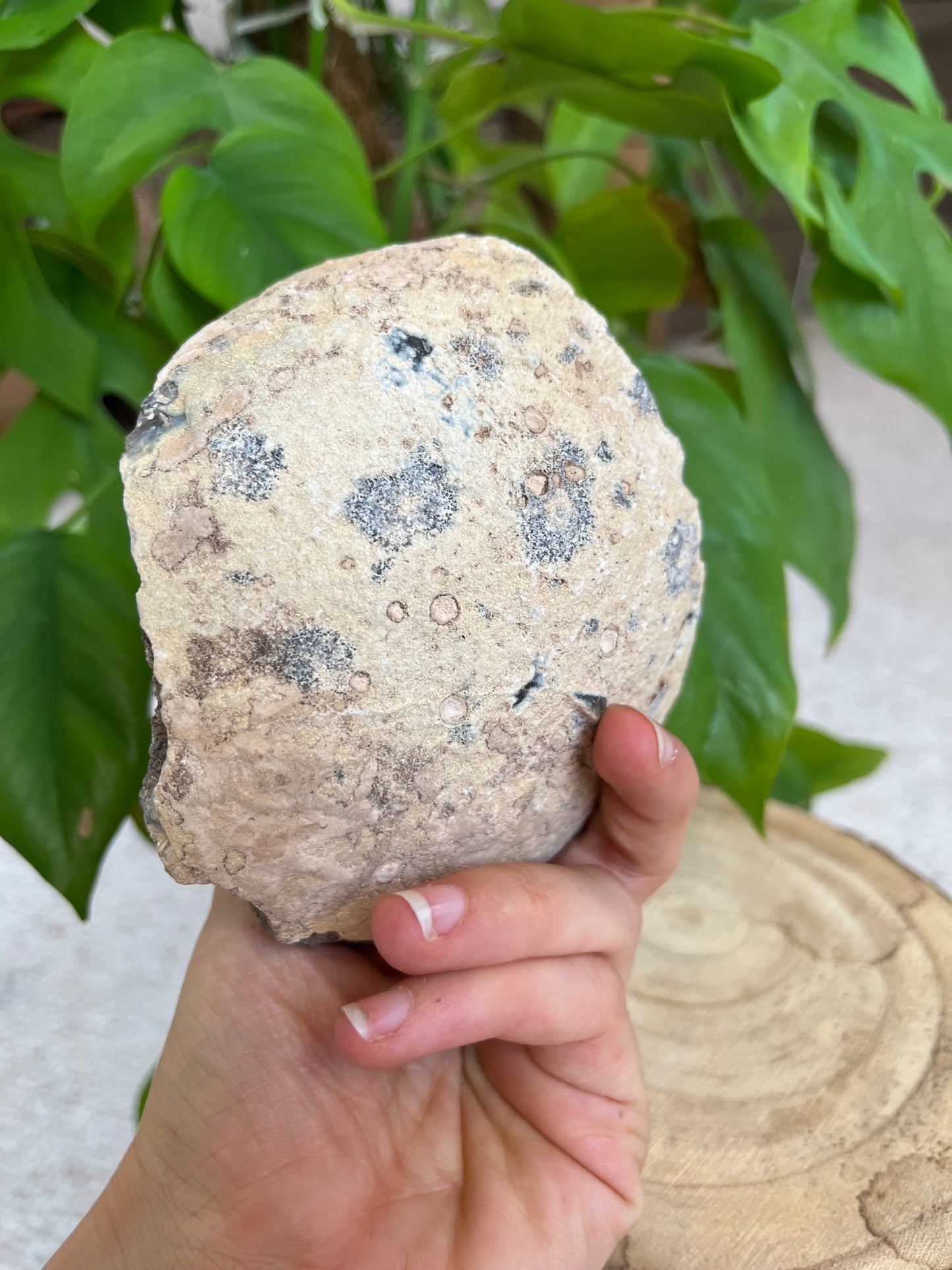 Achat Geode Rohstein – naturbelassen