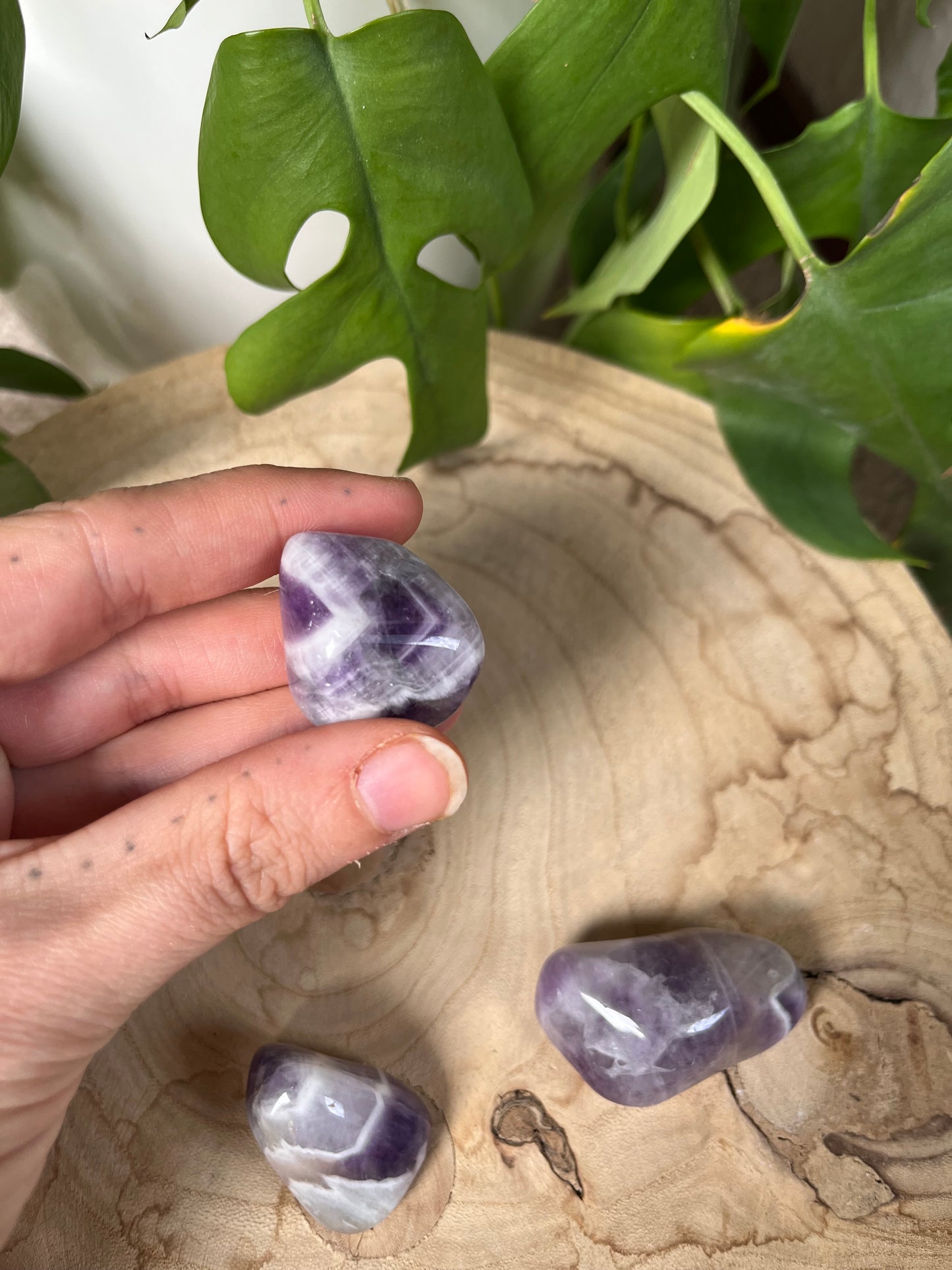 Amethyst Trommelsteine