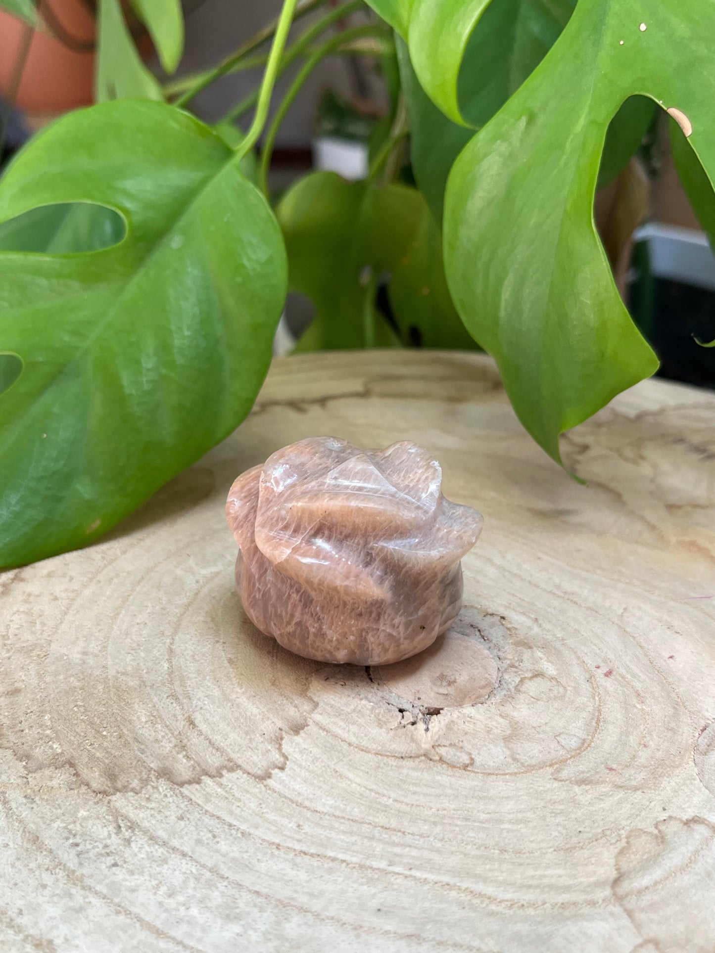 Mondstein Blumen Gravur – Intuition, Harmonie & weibliche Energie