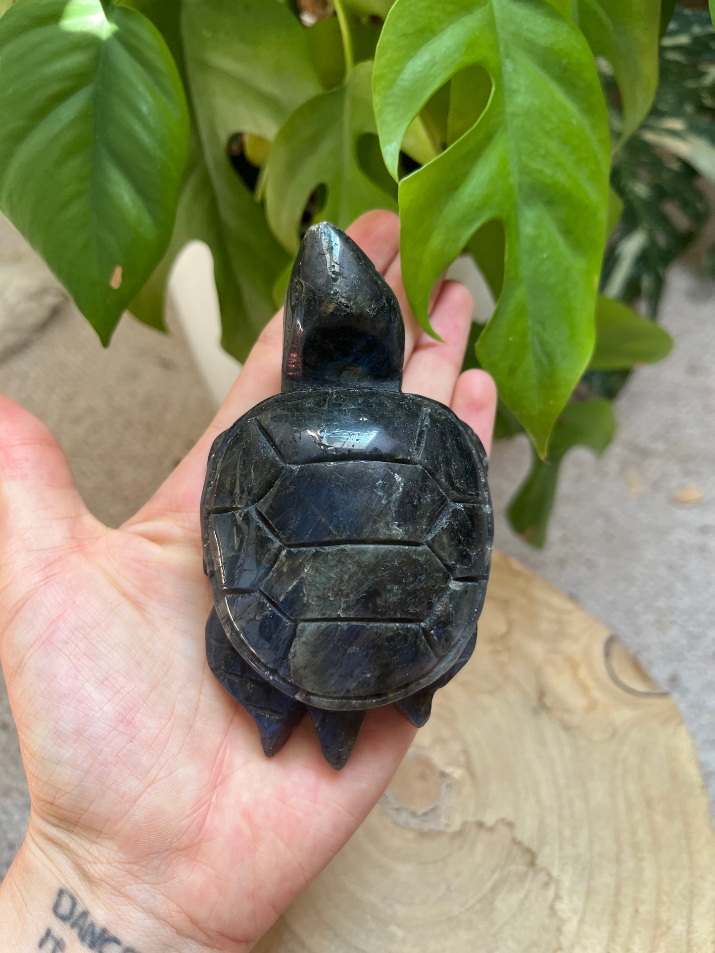 Labradorit Schildkröte XL