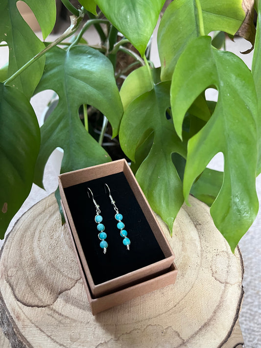 Ohrring/Kette Geschenk Box