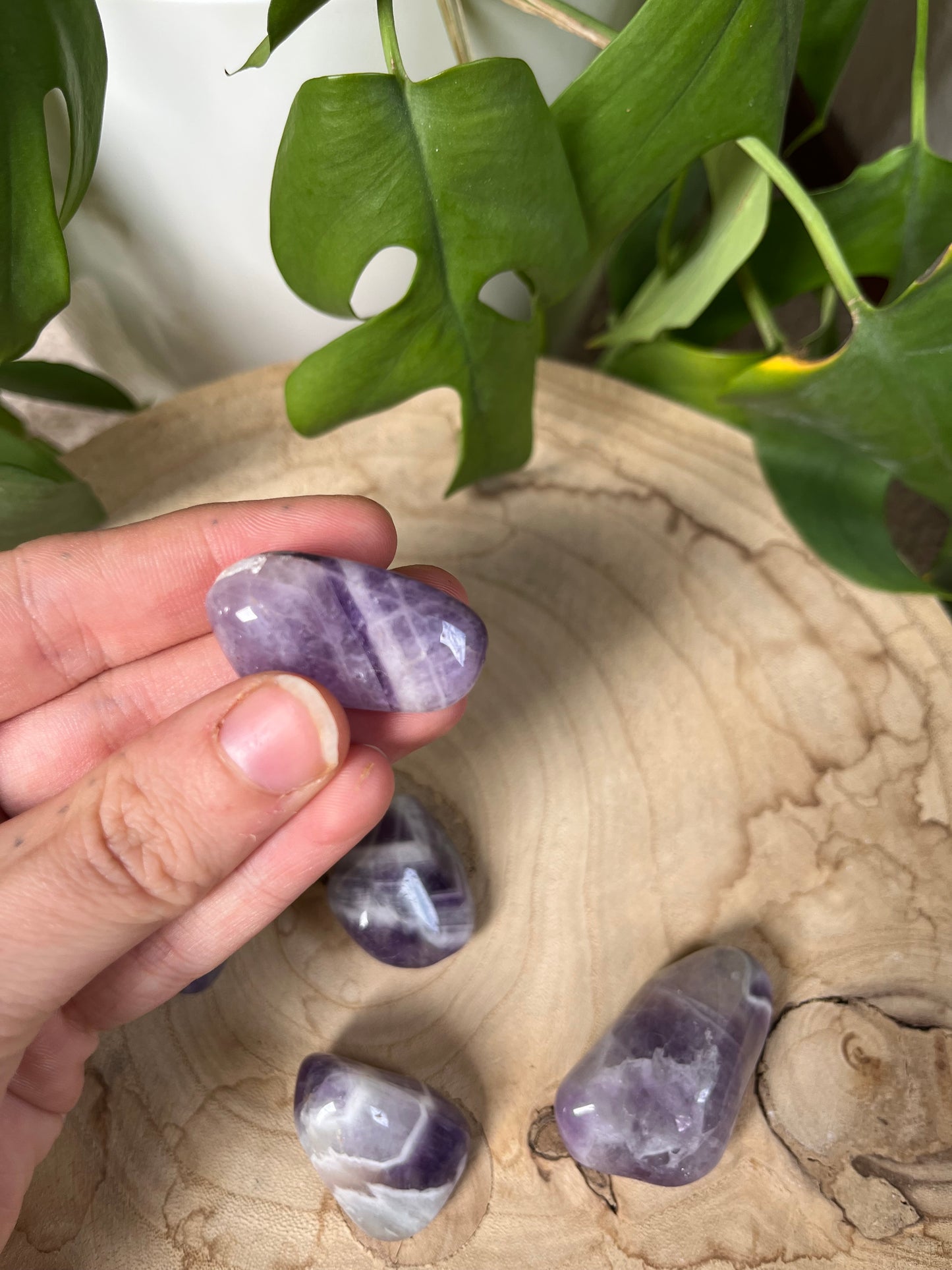 Amethyst Trommelsteine