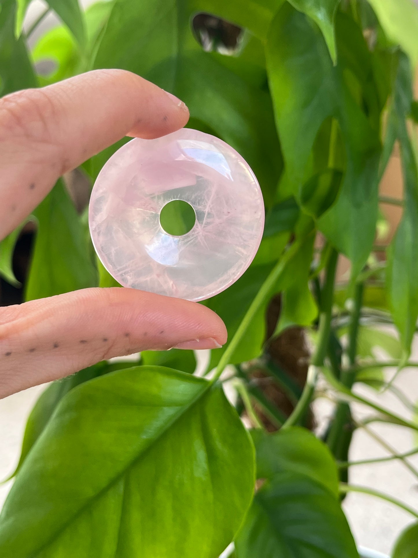 Rosenquarz Donut 4cm