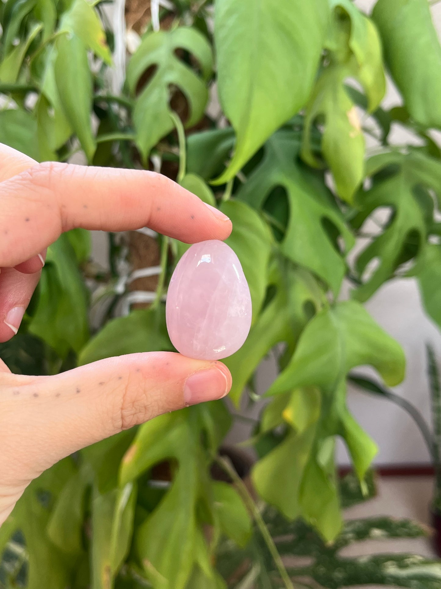 Rosenquarz Trommelstein gebohrt – Edelsteinanhänger für Liebe & Harmonie