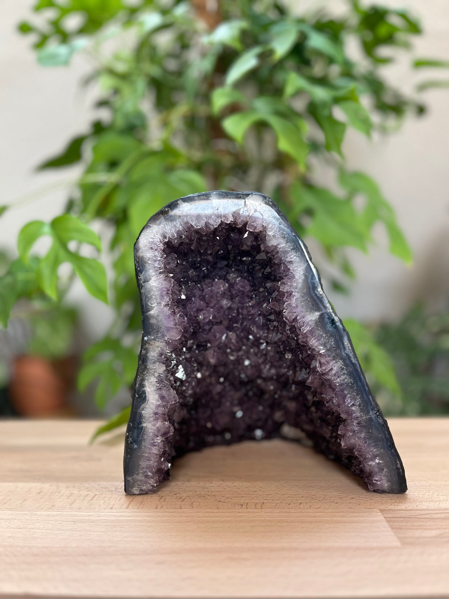 Amethyst Geode XL 5,4 kg – Dunkelviolette Kristallhöhle mit intensivem Funkeln