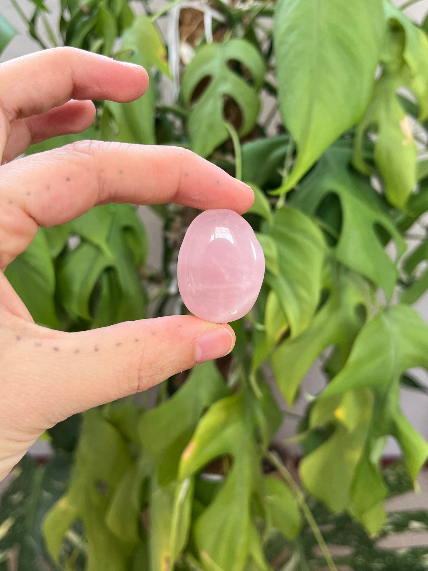 Rosenquarz Trommelstein gebohrt – Edelsteinanhänger für Liebe & Harmonie