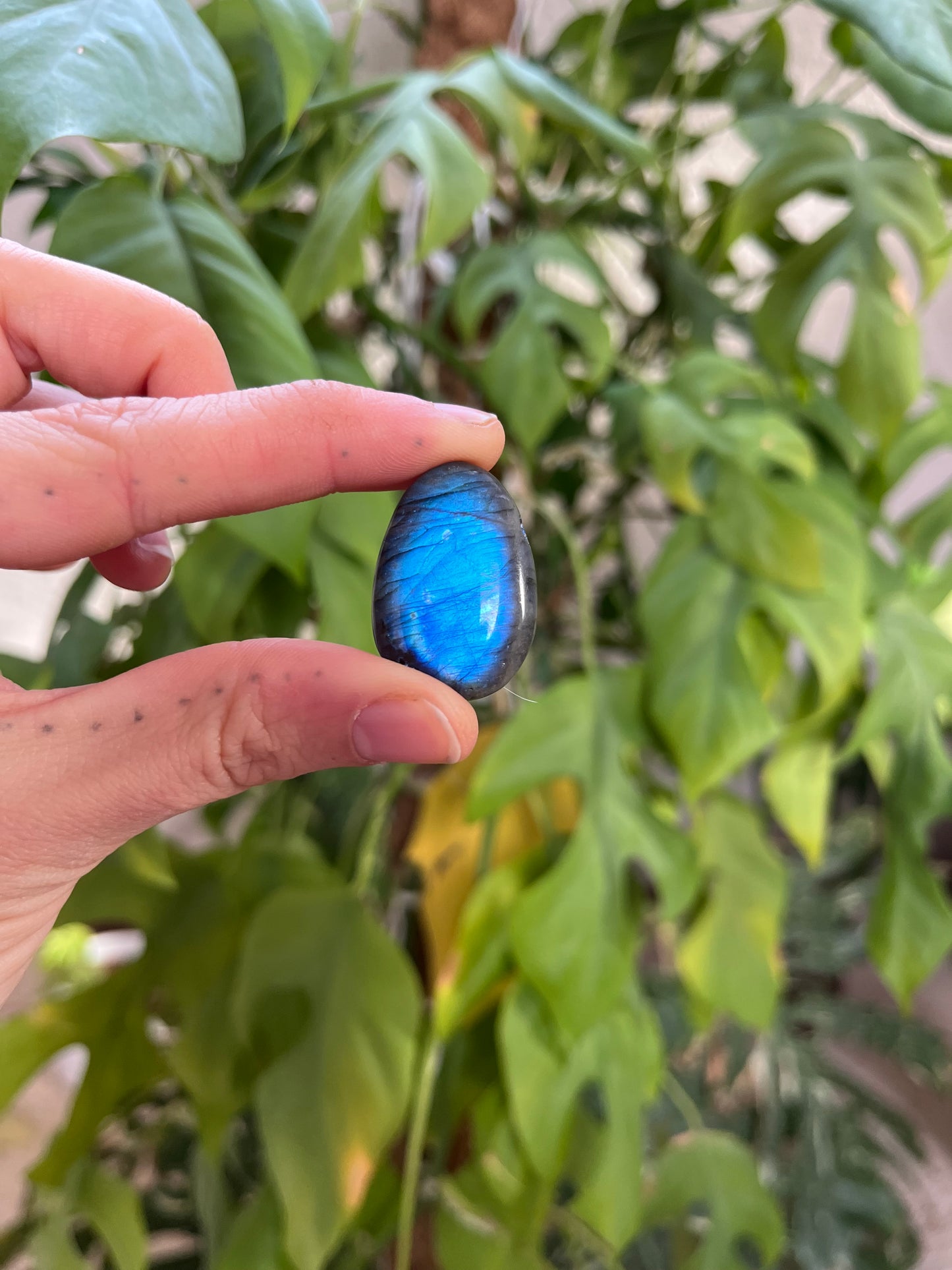 Labradorit Trommelstein gebohrt AA Qualität – Schimmer & Schutz